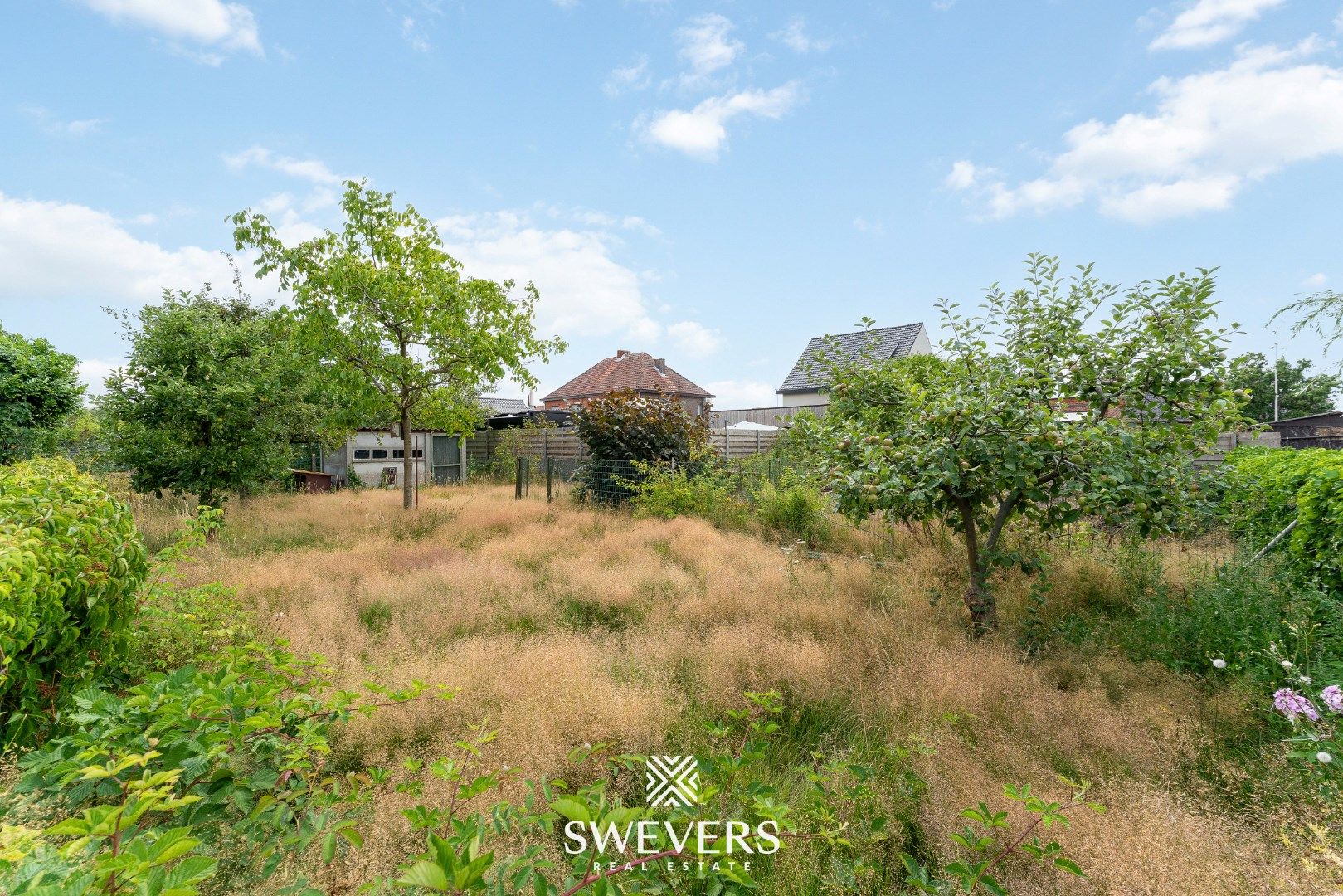 Te renoveren woning op 12a 36ca in Beverlo foto 30