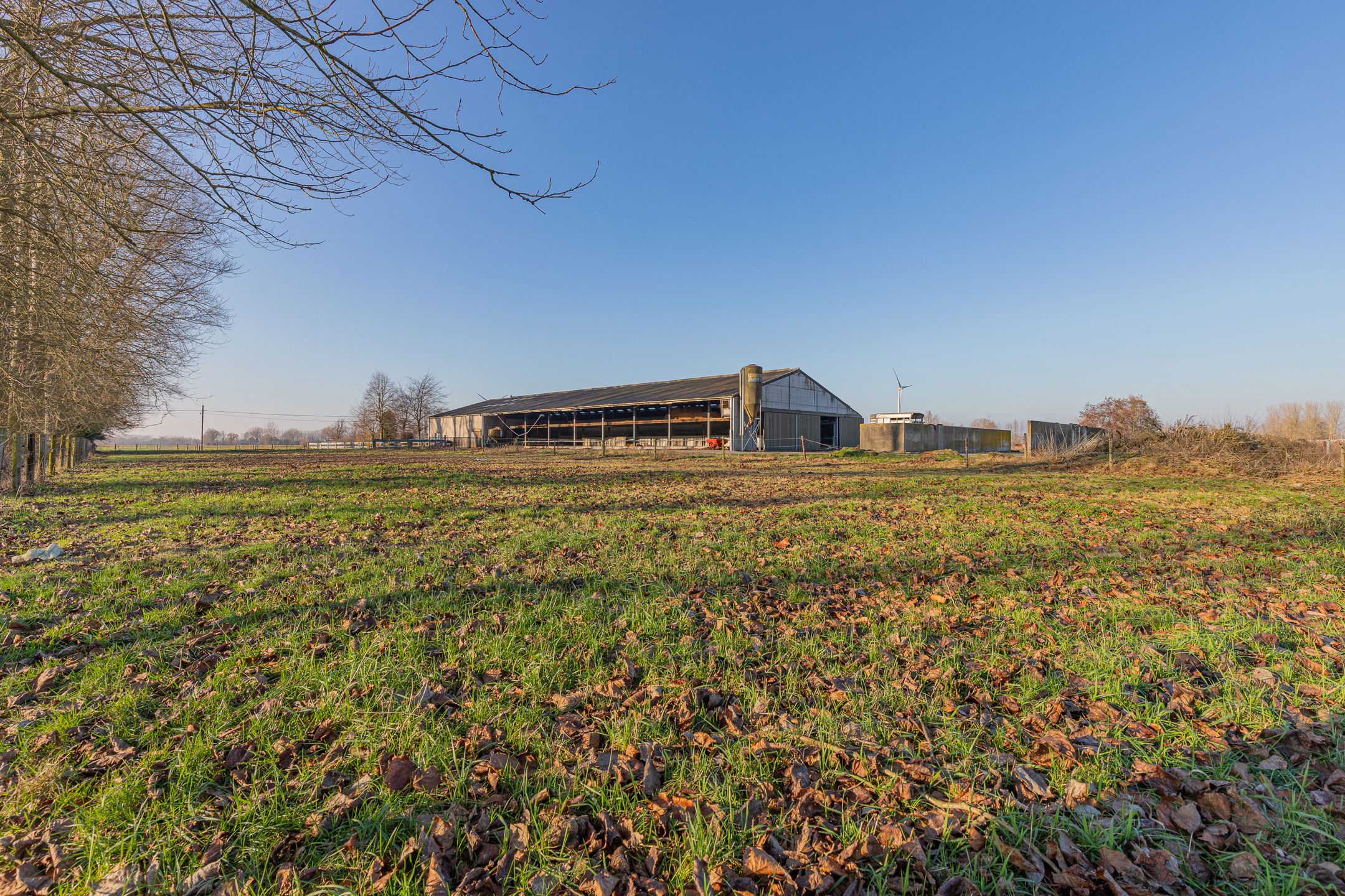 LAARNE- &nbsp;Landbouweigendom met geïntegreerde woning&nbsp; foto 24