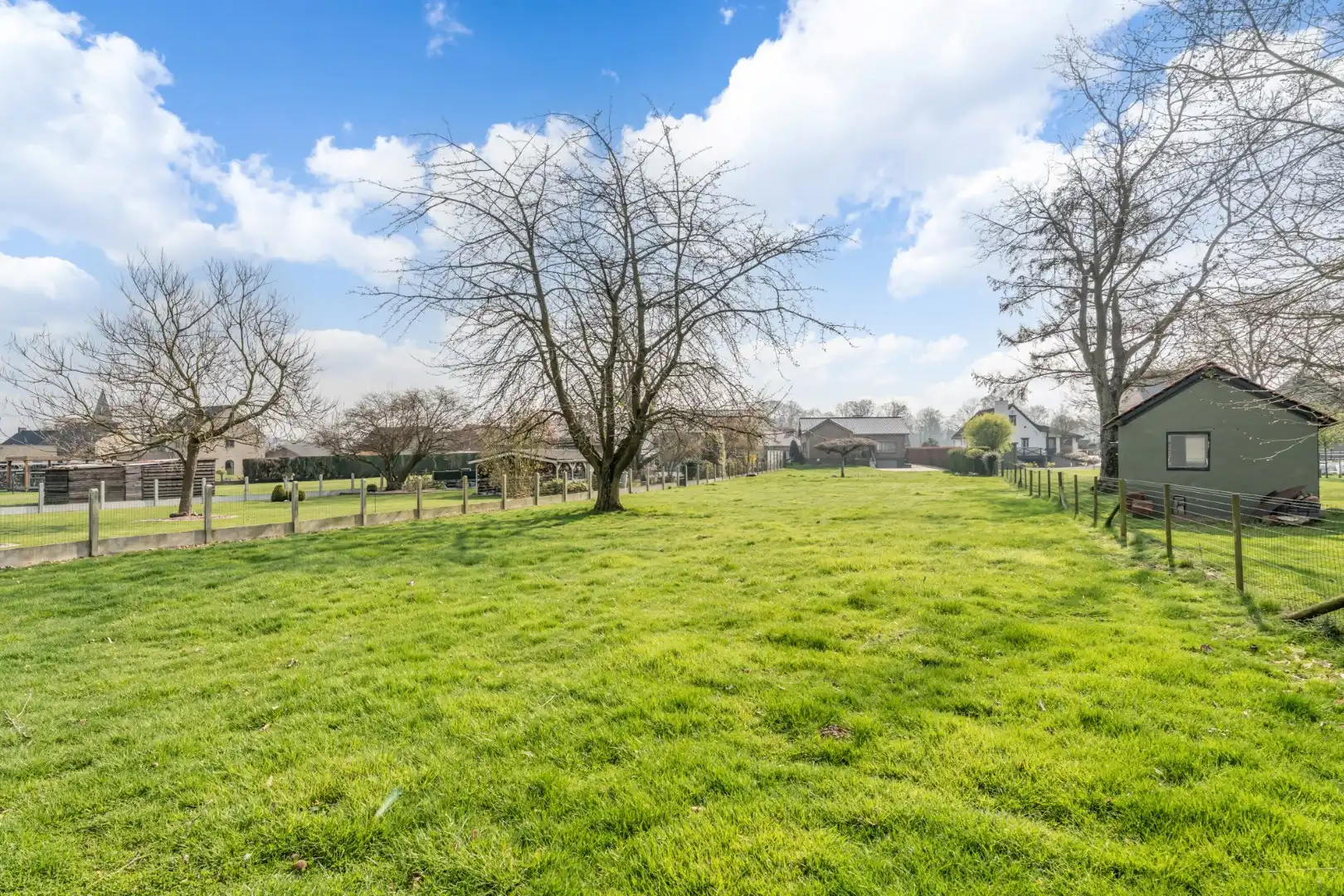Zeer goed onderhouden gelijkvloerse gezinswoning op een riant perceel van 19a75ca op een rustige locatie te Schalkhoven, een deelgemeente van Hoeselt.  foto 41