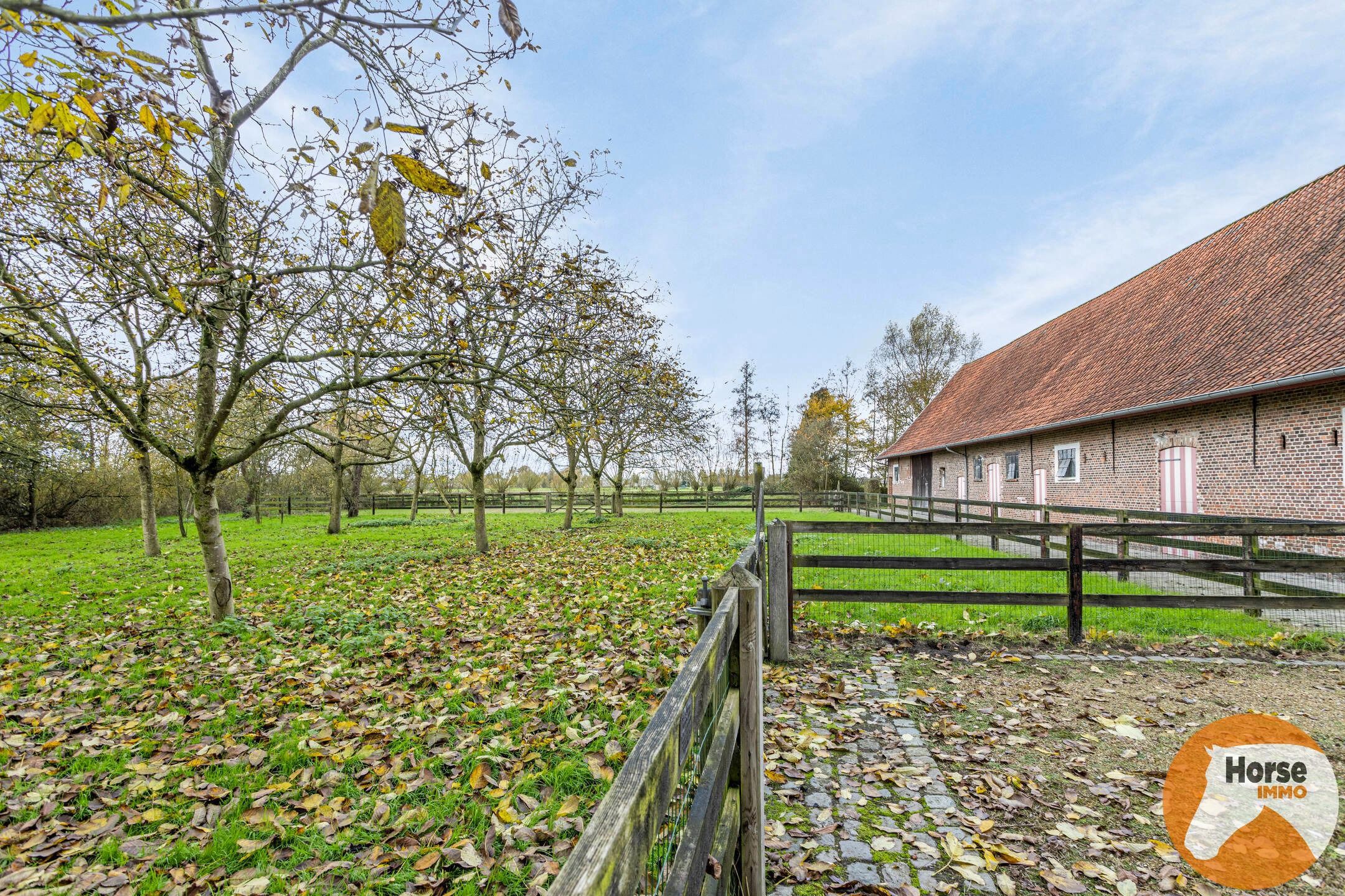 BEERVELDE - Prachtige hoeve met twee authentieke bijgebouwen foto 46