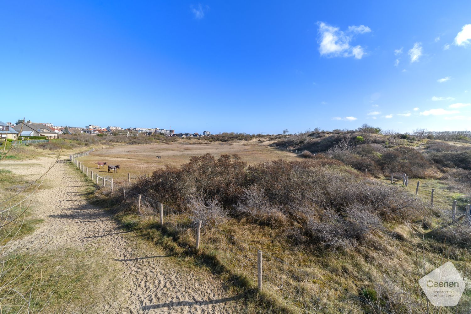 Halfopen woning te koop met vergunde indeling in 3 appartementen – prachtig gelegen met zicht op natuurreservaat, vlakbij het centrum! foto 7