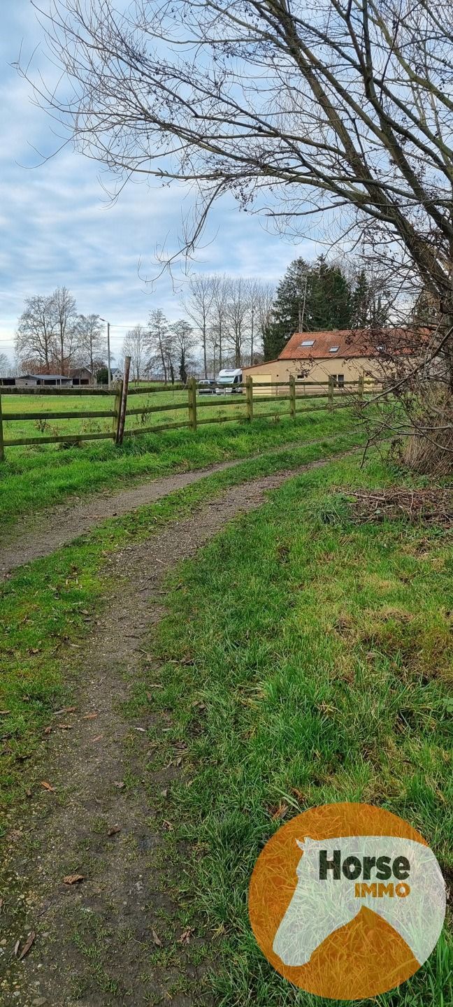 BILZEN-HOESELT - Weide met schuilstal op +/- 83a foto 6