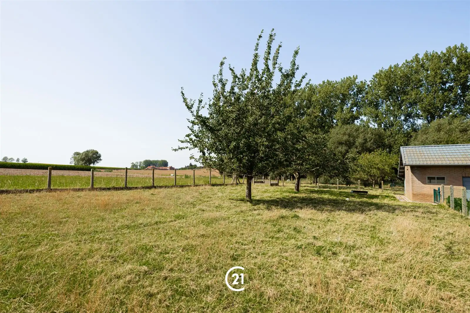 Op te frissen villa/bungalow met weide op 36are90 met 3 slaapkamers foto 16