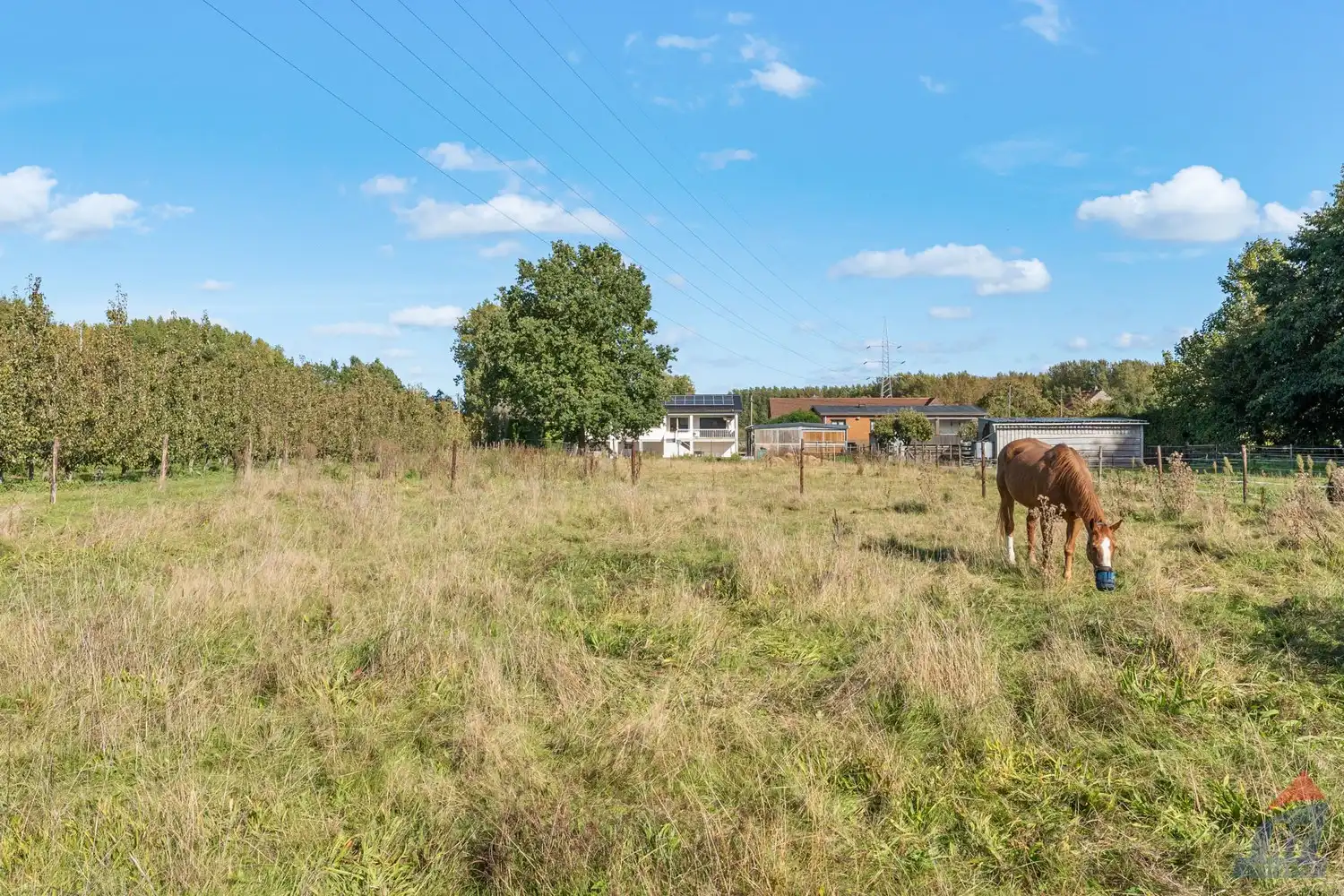 Ruime gelijkvloerse woning op een prachtig perceel van 35a 50ca met weide en stal in Alken foto 28