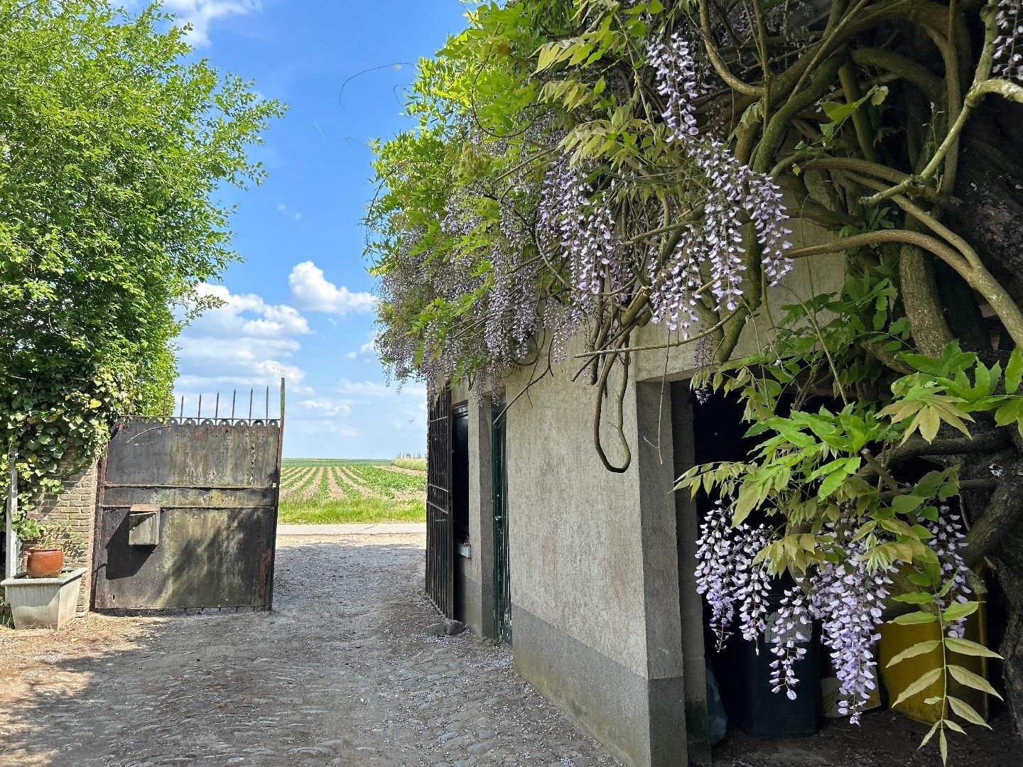 Hof Candriesche – Droomhoeve vol karakter in hartje natuur foto 4