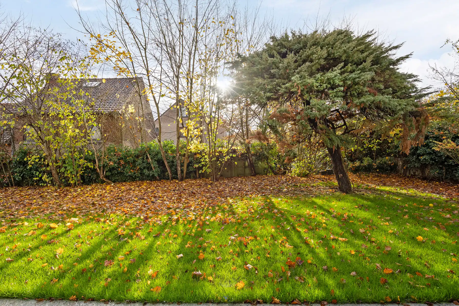 COHOUSEN te Lubbeek foto 35