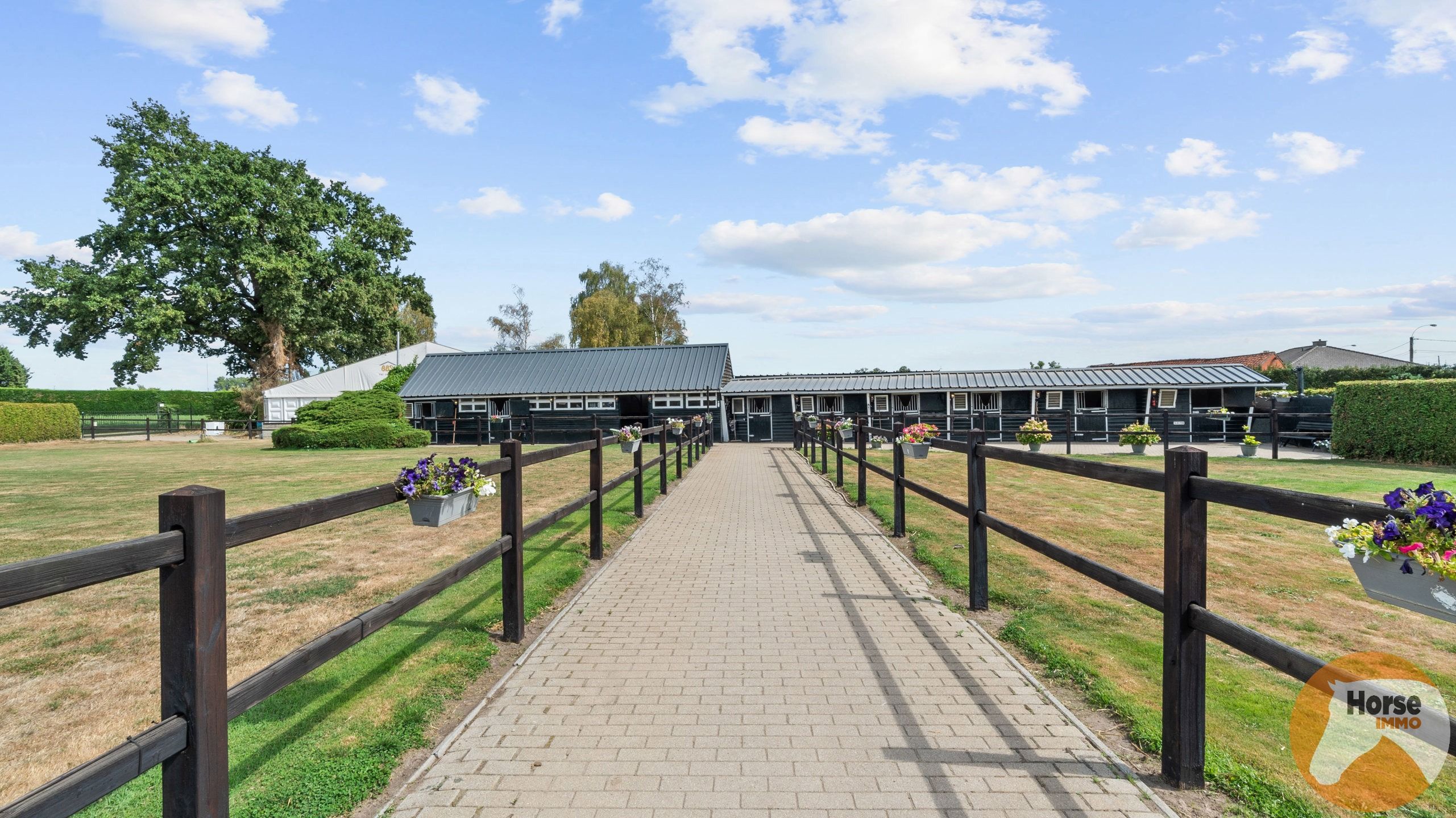 NEEROETEREN - Woning met accommodatie voor (semi)professioneel foto 6