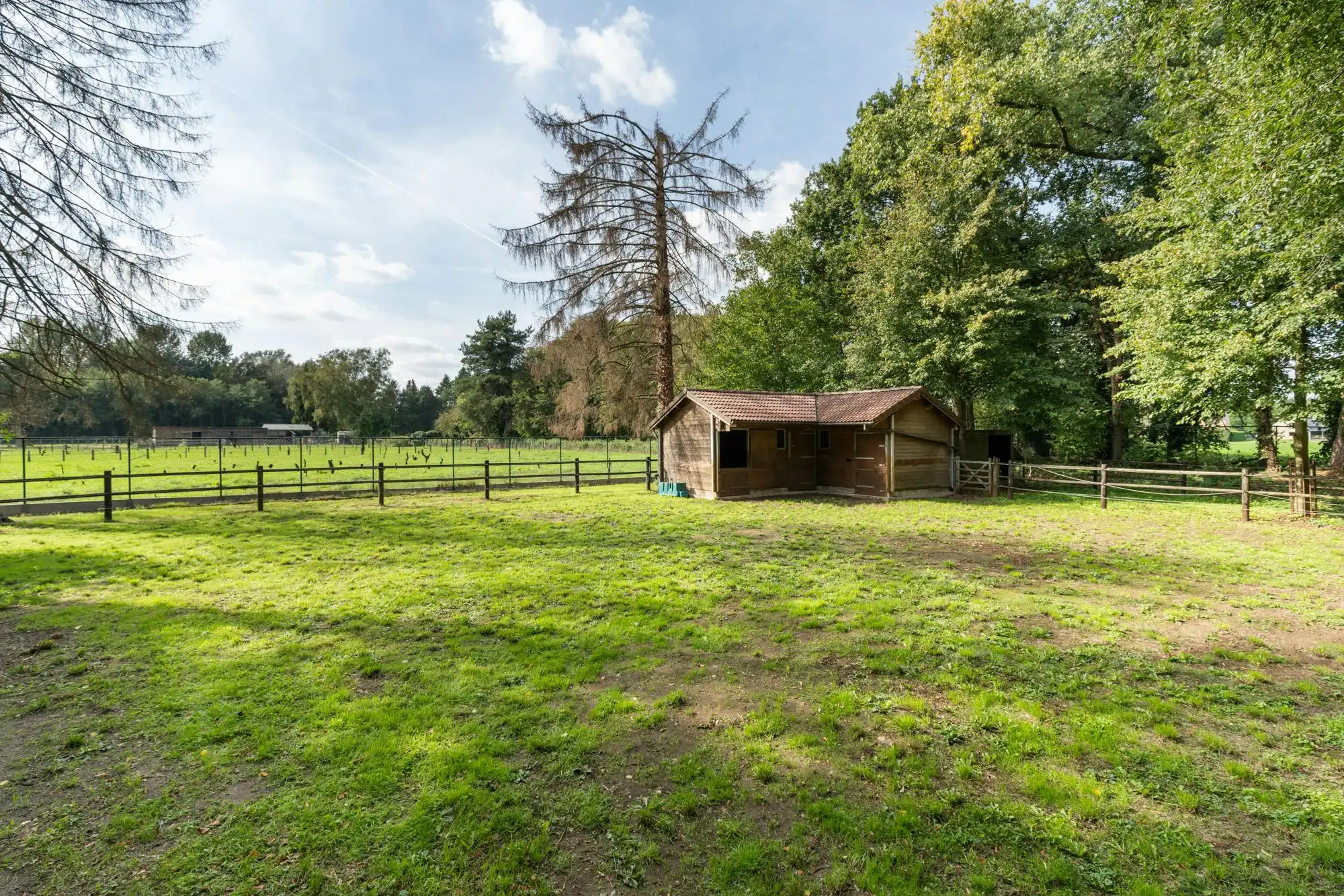 Exclusief landhuis op 80 are met ruimte voor wonen en werken foto 23