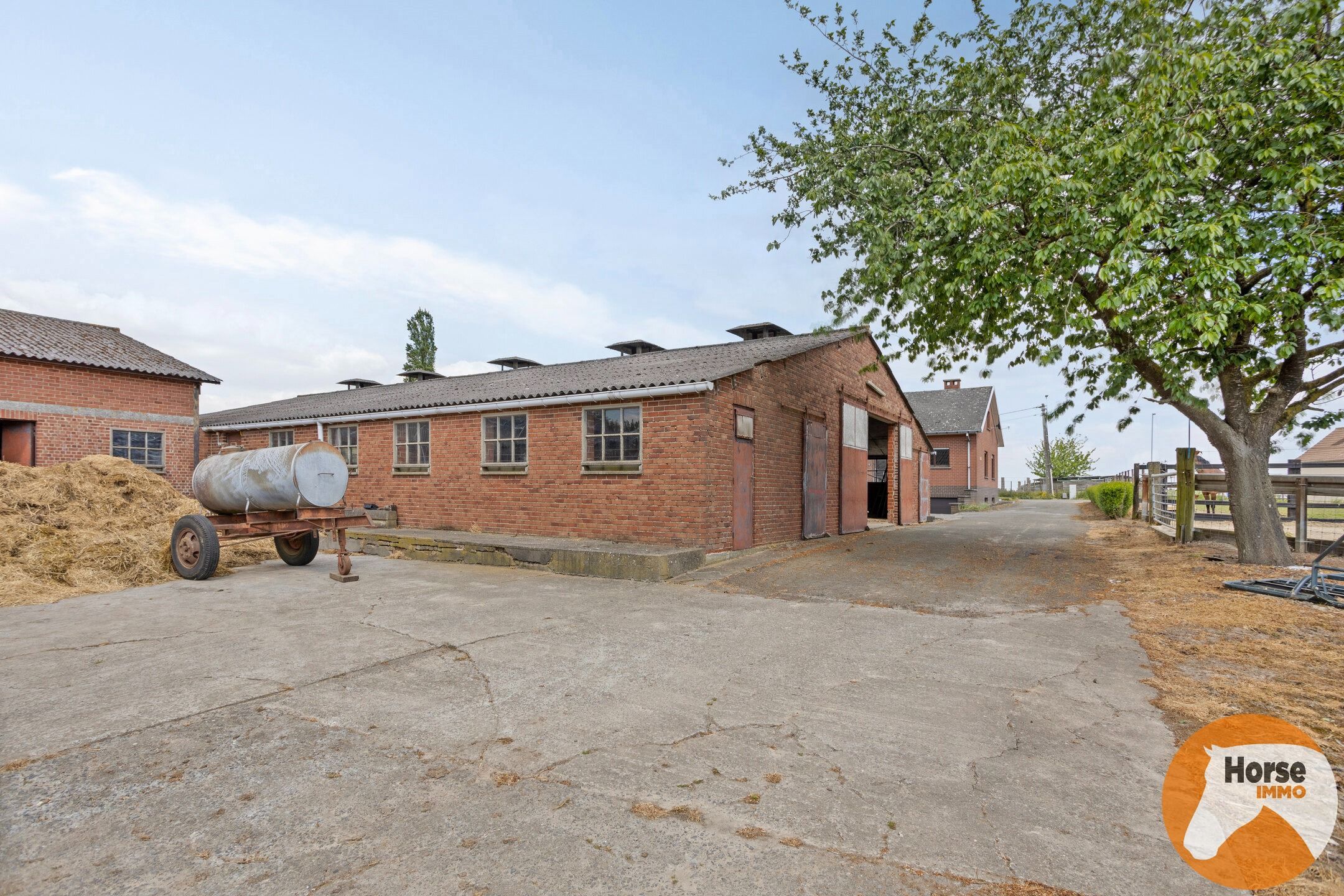 WOUBRECHTEGEM - Charmante woning met 2 loodsen op 1,61 ha  foto 28