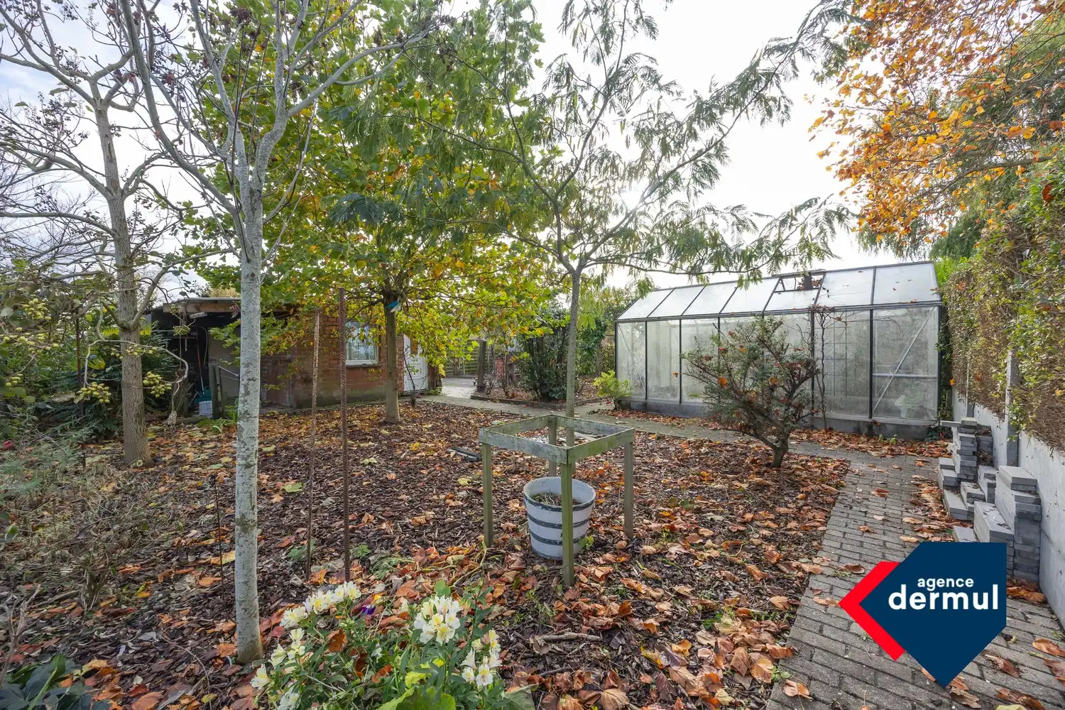 RUIME RIJWONING foto 37