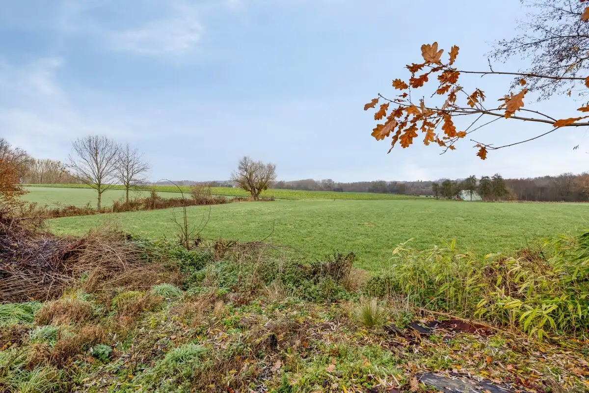 Tuinbouwcentrum met ruime woning op een perceel van 4,26 hectare foto 16