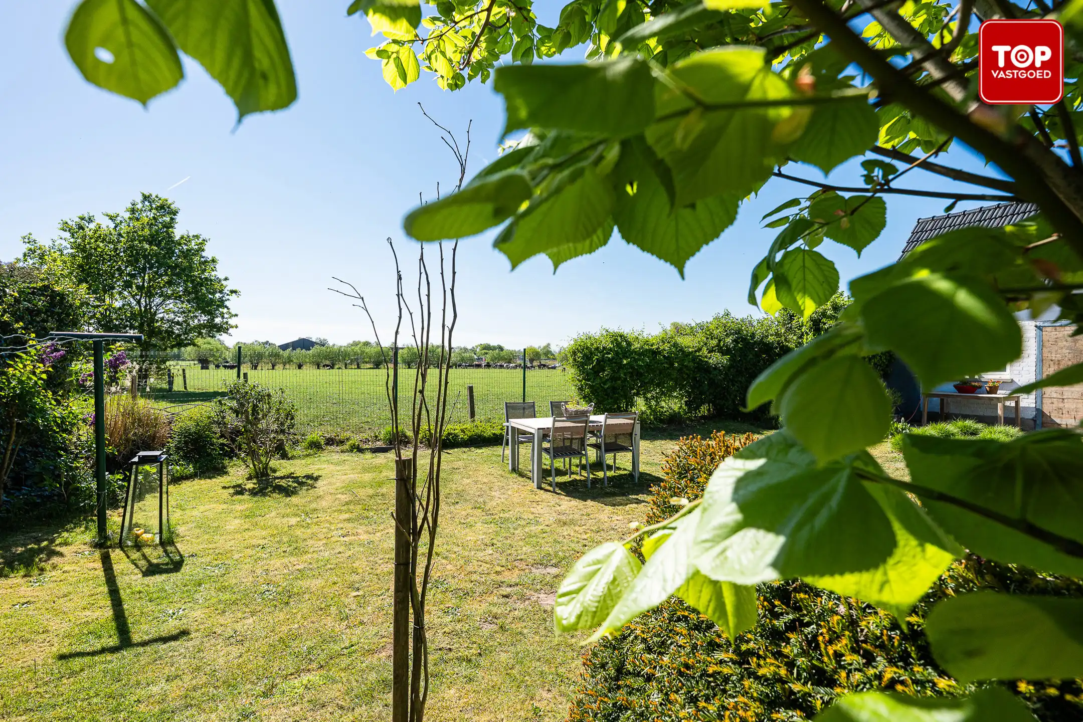 Huis te koop foto 15