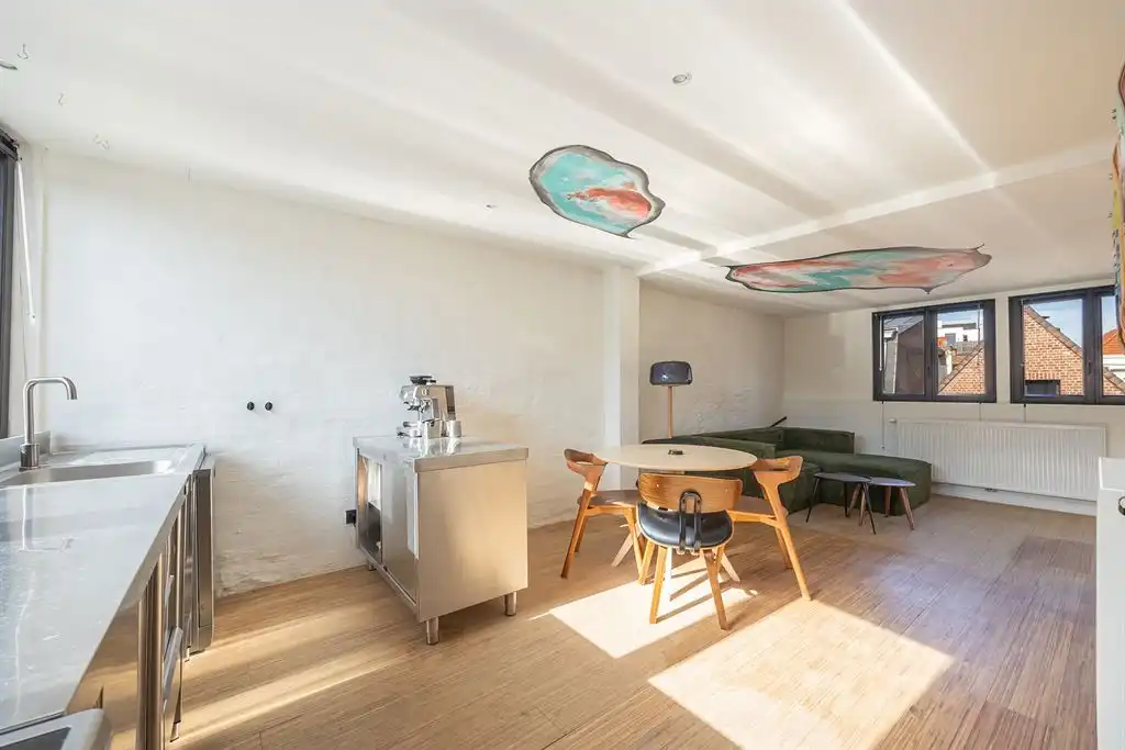 Instapklare duplex met dakterras in hartje Antwerpen foto 2