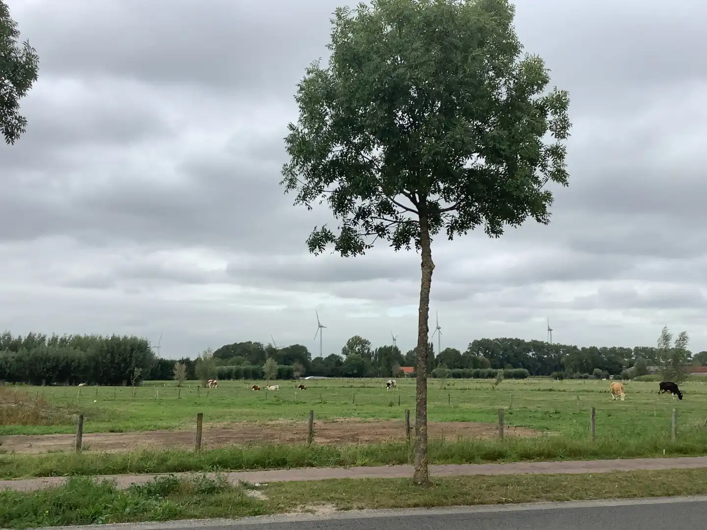 Ruim appartement te huur met 2 slaapkamers en terras foto 7