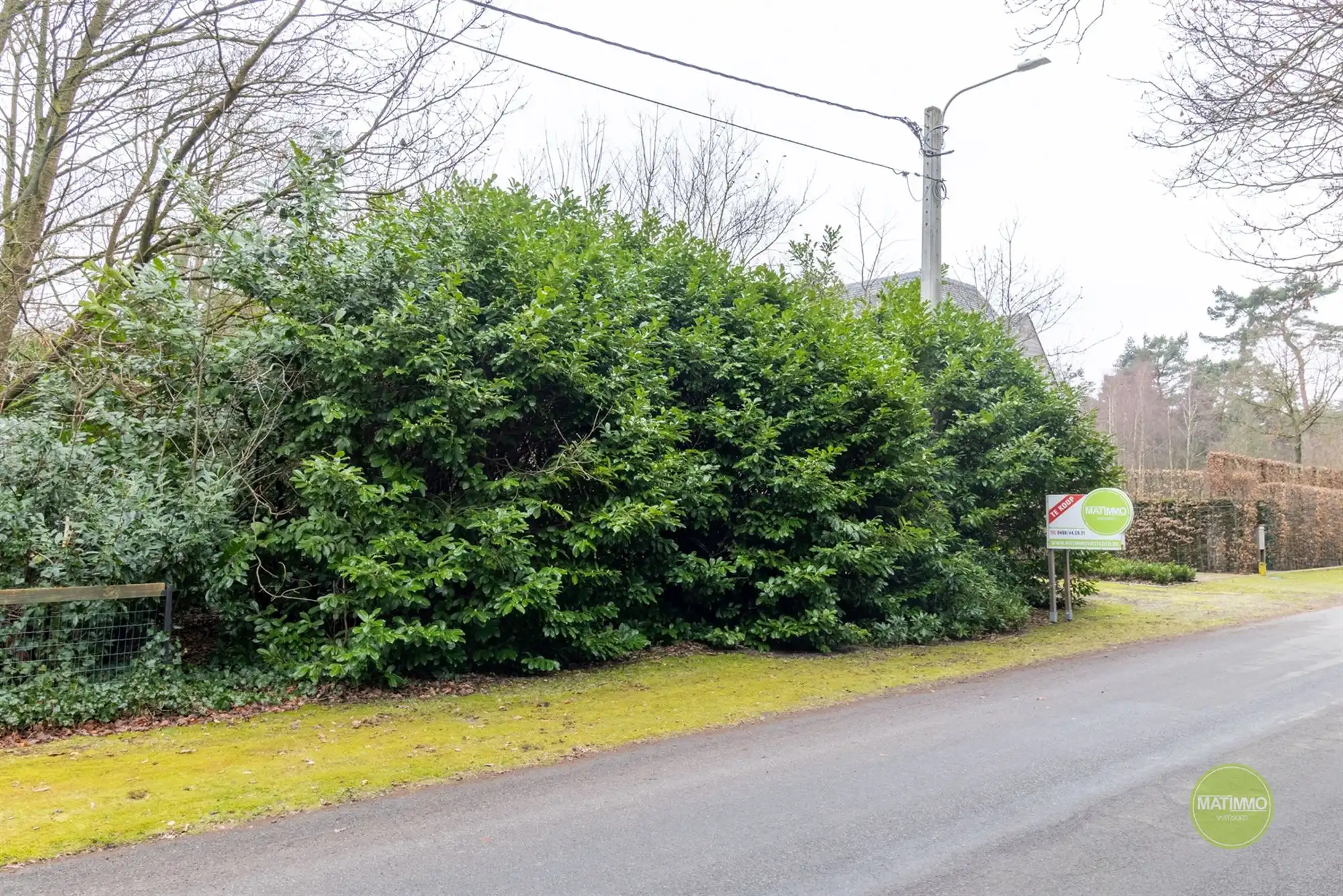 Ruime bouwgrond voor open bebouwing in het groene Mol-Rauw  foto 10