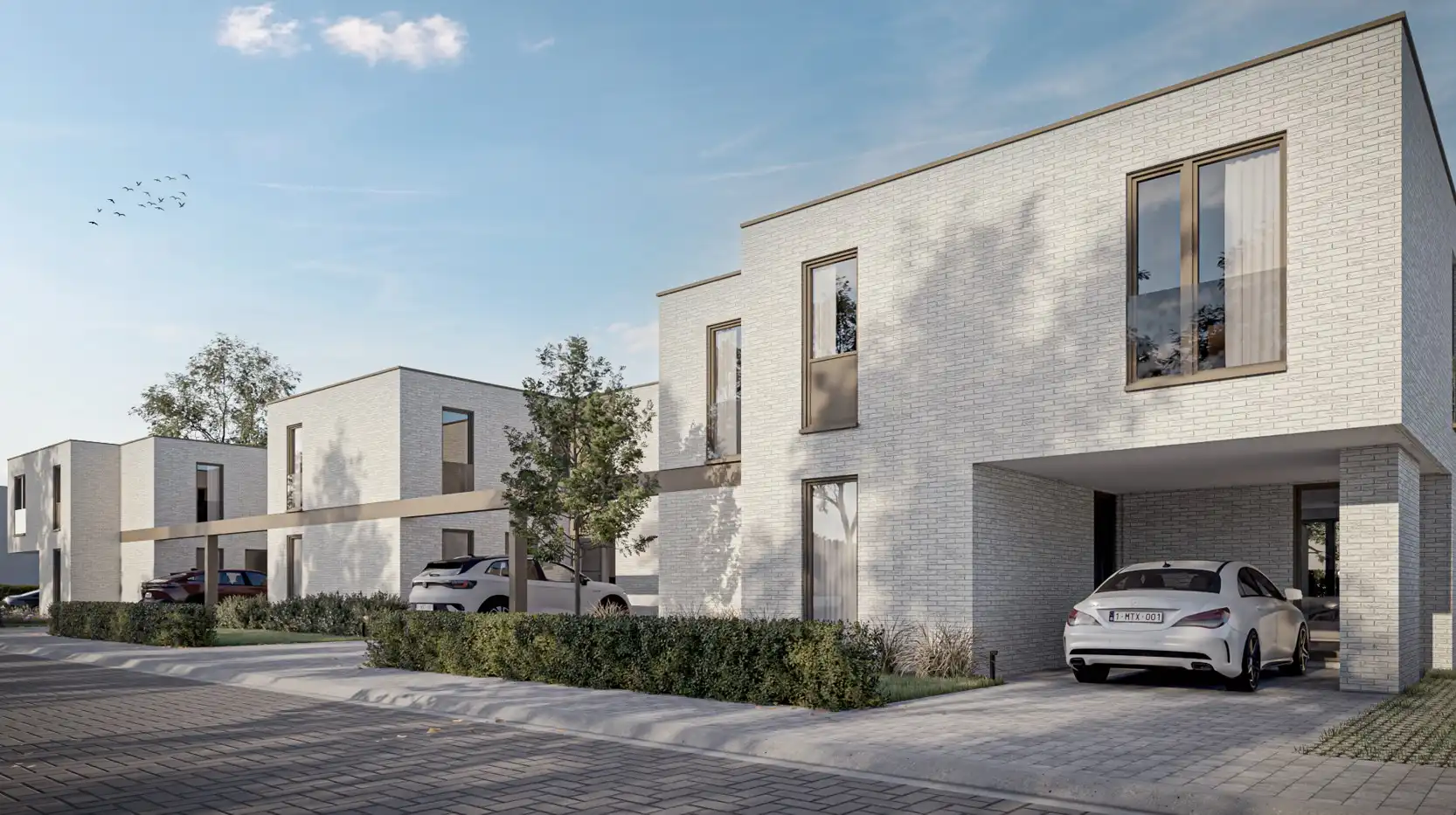 Woonbuurt Bivelenhof - Nieuw aanbod hedendaagse woningen nabij centrum Bilzen foto 9
