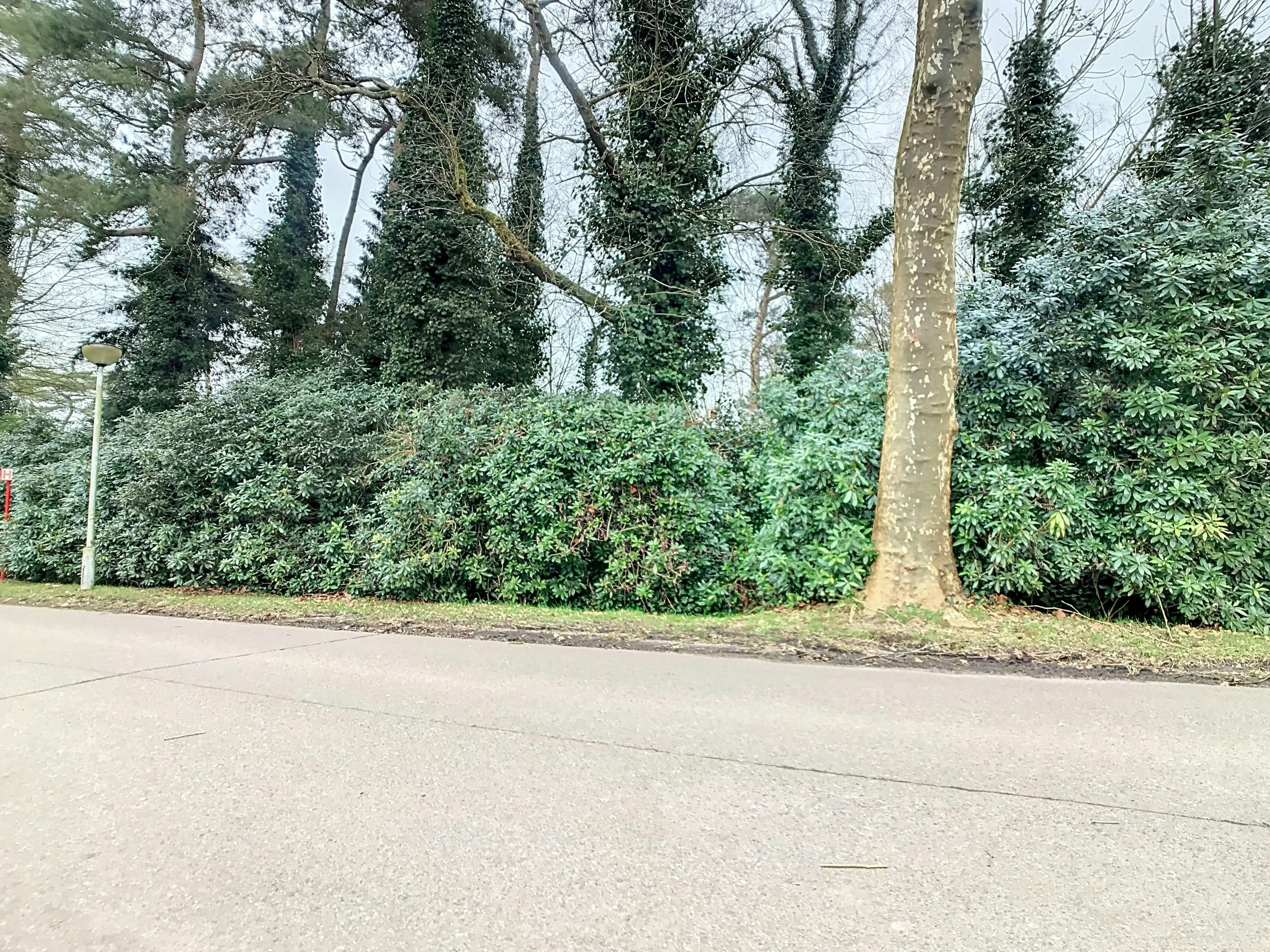 Zeer mooi gelegen bouwperceel van  ca.1750m² te Sint-Job-in't-Goor! foto 4