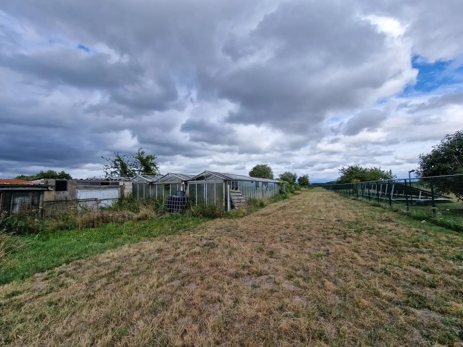 Bungalow 3 slpks met loods en serre op 50 are te Tienen foto 13