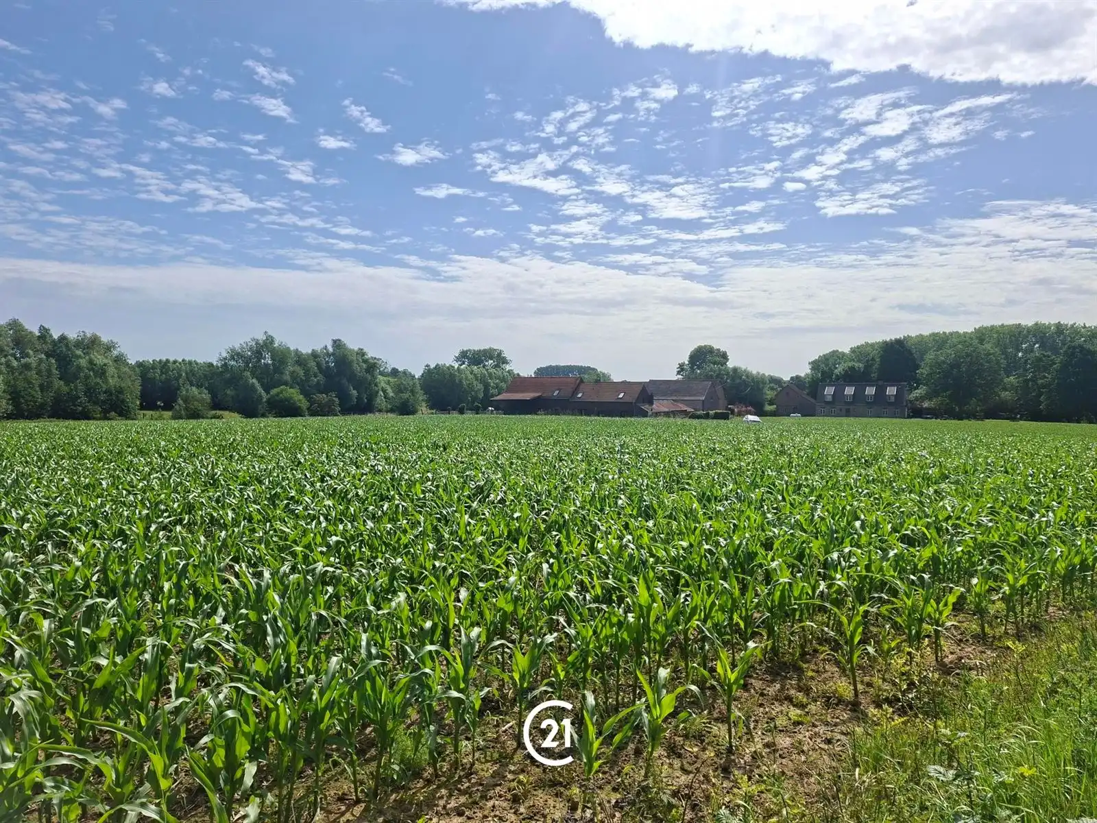 Prachtig perceel landbouwgrond 2hect67 bereikbaar via losweg foto 6