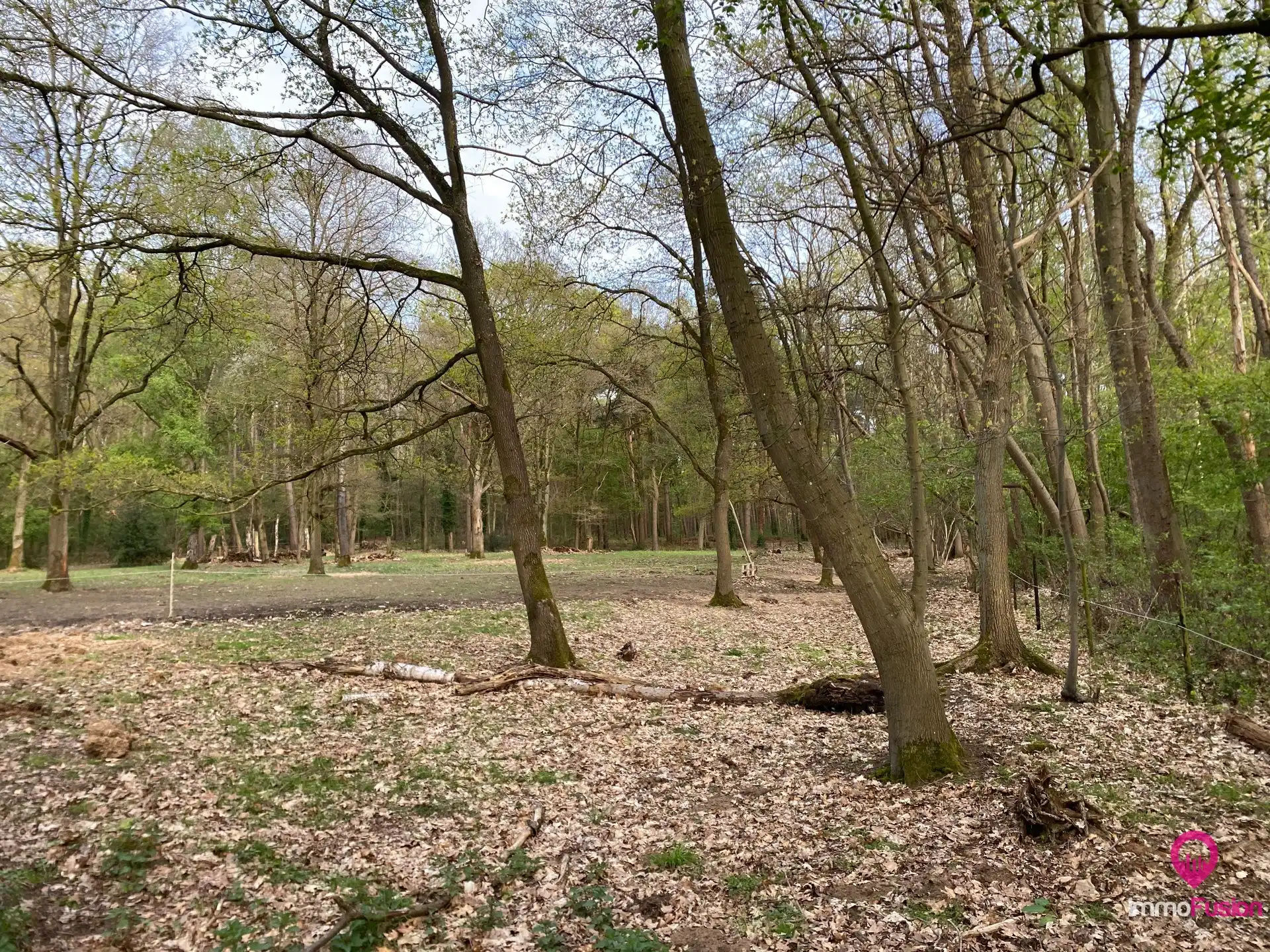 Landelijke weide voor dieren- en natuurliefhebbers! foto 5