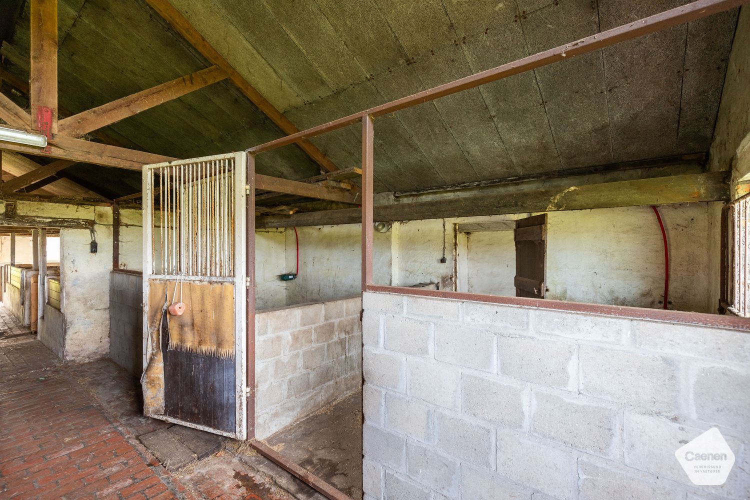 Exclusieve landelijke woning op een mooi perceel van 19869 m² en magnifieke bijgebouwen van bij benadering 1000 m² foto 23