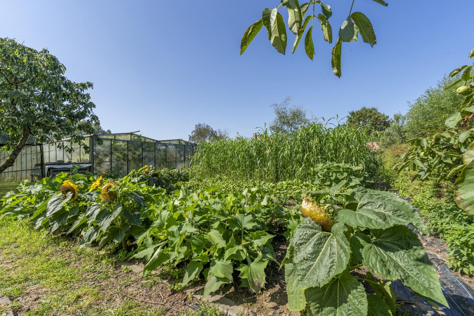 GERENOVEERDE WONING IN LANDELIJKE OMGEVING TE OOSTNIEUWKERKE foto 25