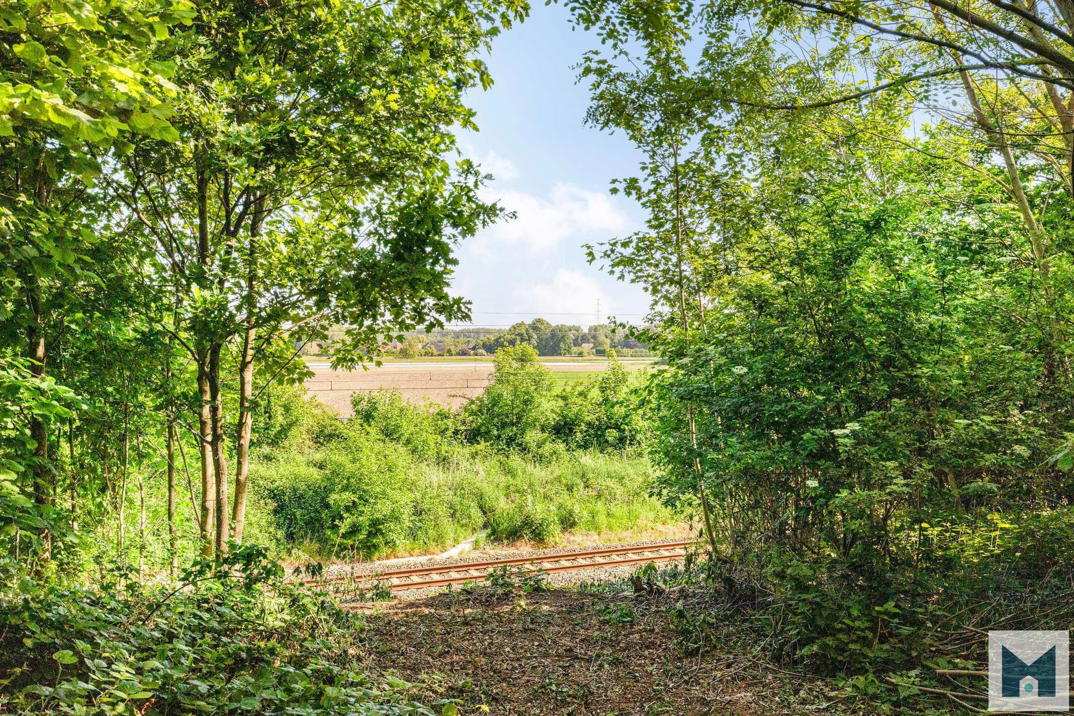 Prachtig perceel met mogelijkheid om te bouwen te Malderen! foto 6