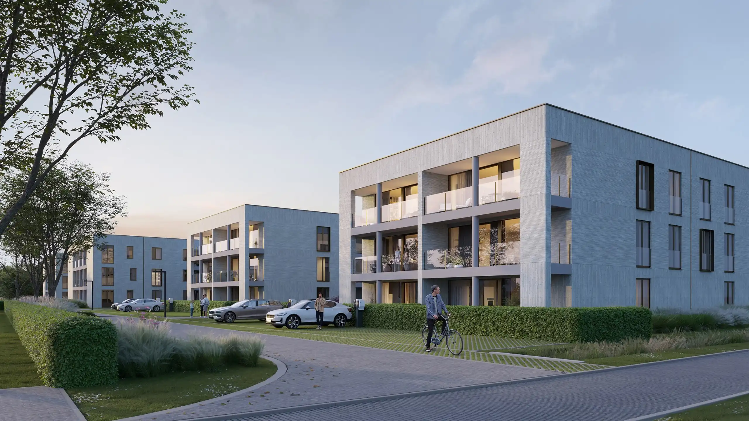 MEIBOOMVIERING op donderdag 22/10 van 17 u tot 20 met actie foto 7