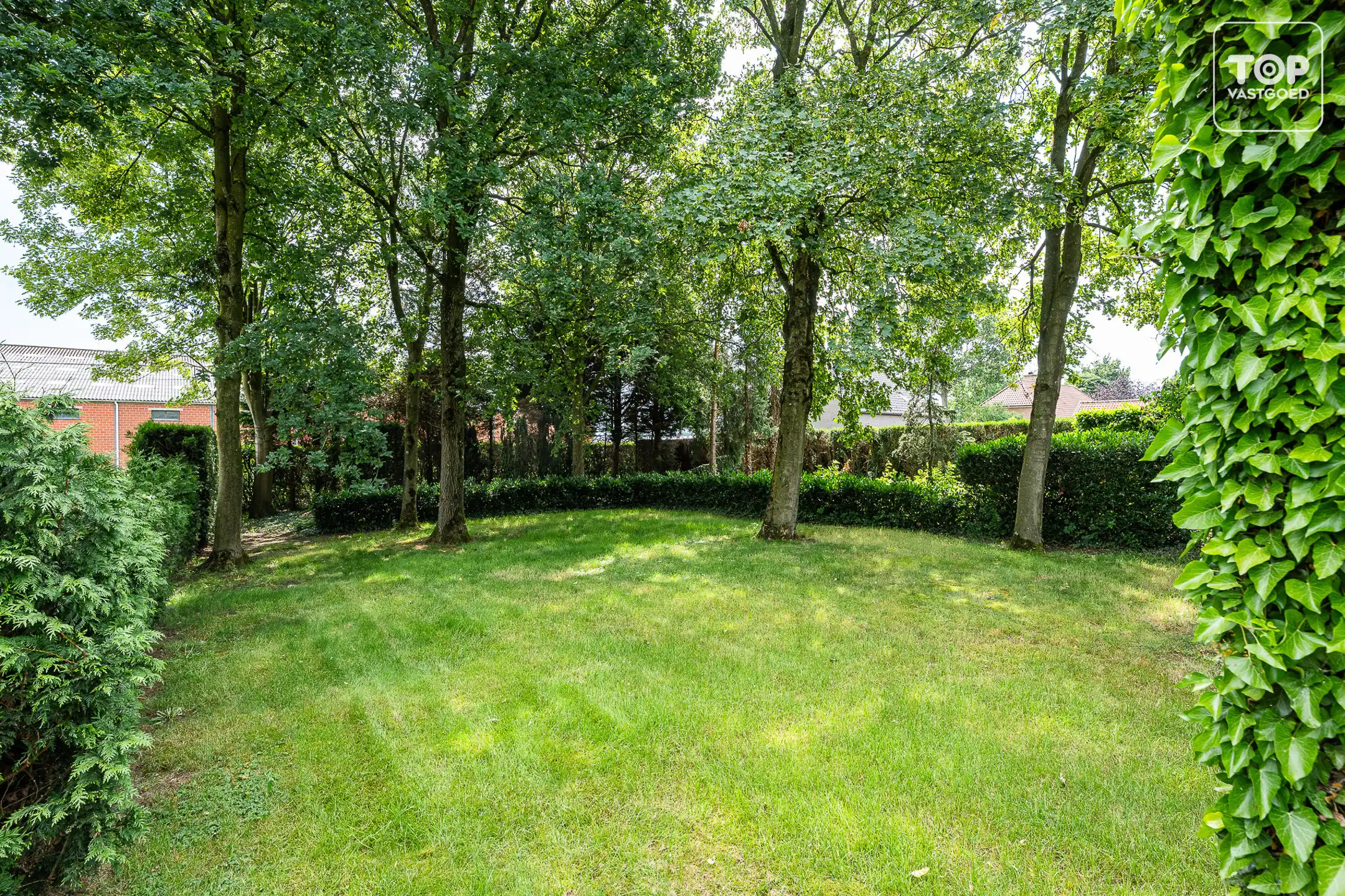 Huis te koop foto 15