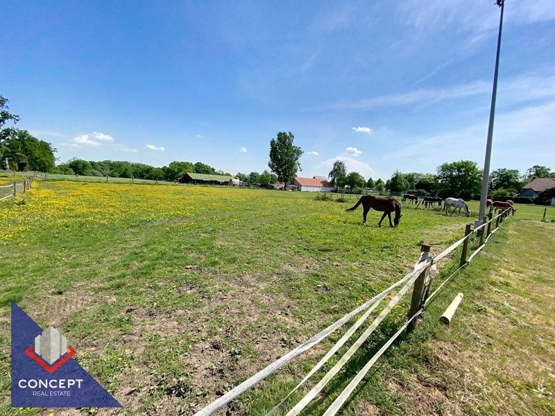 Instapklare woning met 3 slaapkamers met achterliggende paardenweides. foto 47