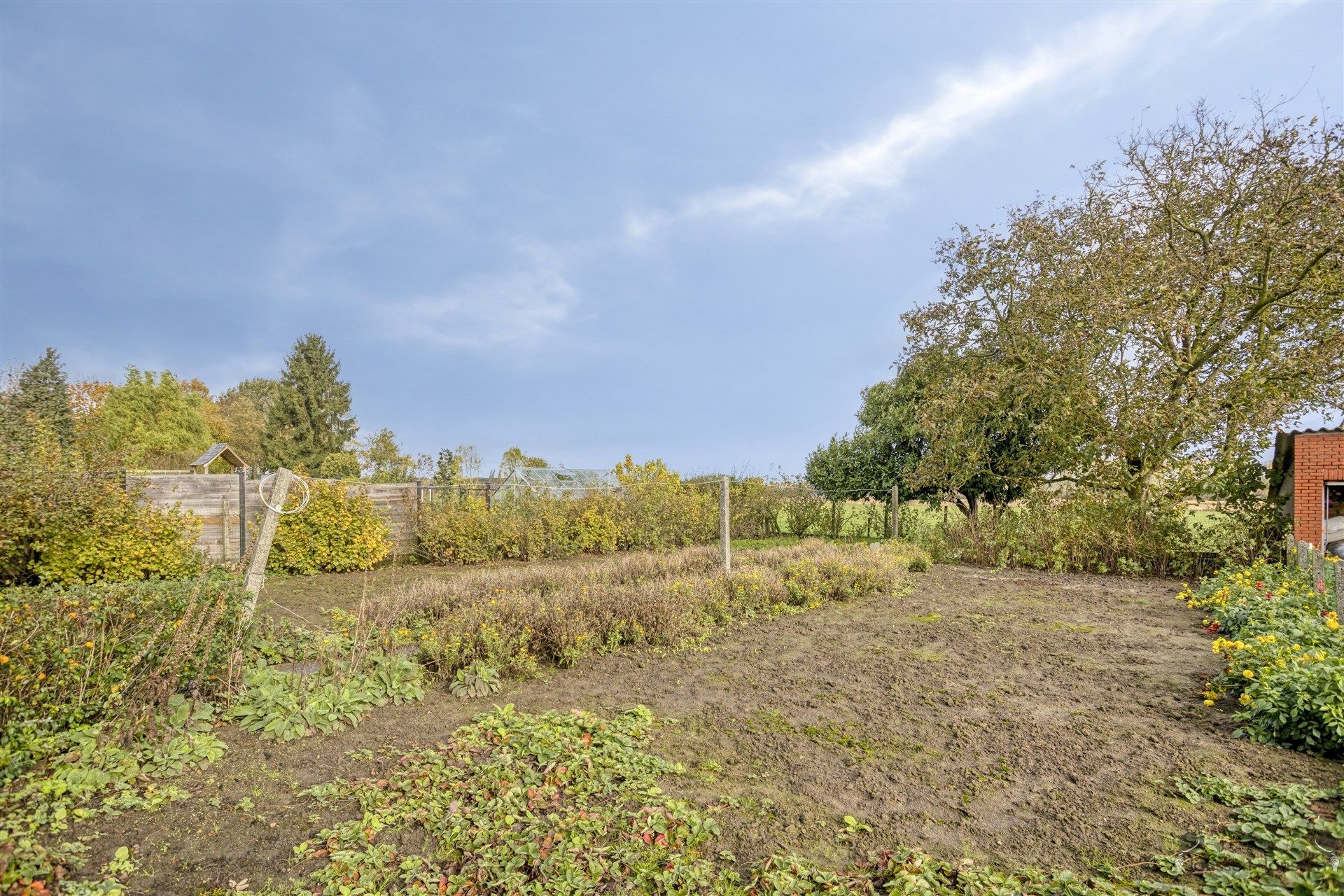 Charmante open bebouwing met prachtig uitzicht op de achtergelegen velden foto 19