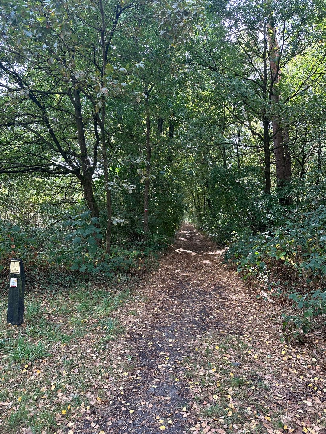 HELCHTEREN - Rustig gelegen cottage op 1ha24 foto 21