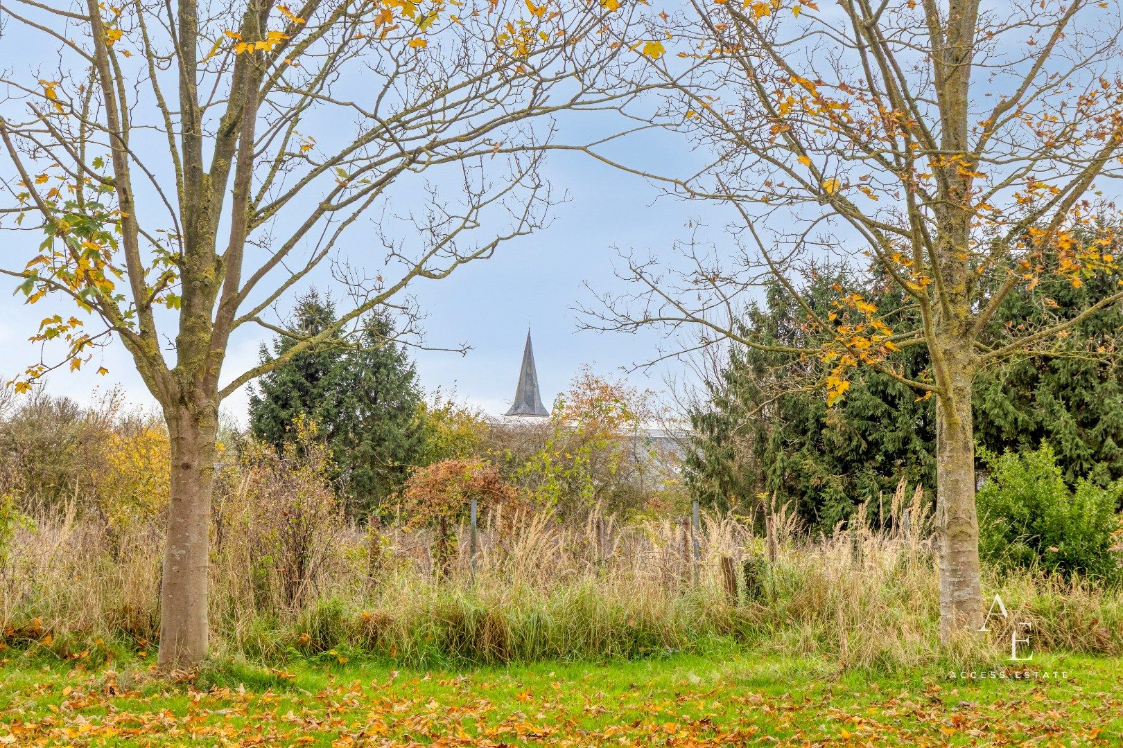 SCHELLEBELLE Exclusieve bouwgrond - HOB - LOT 1 foto 2