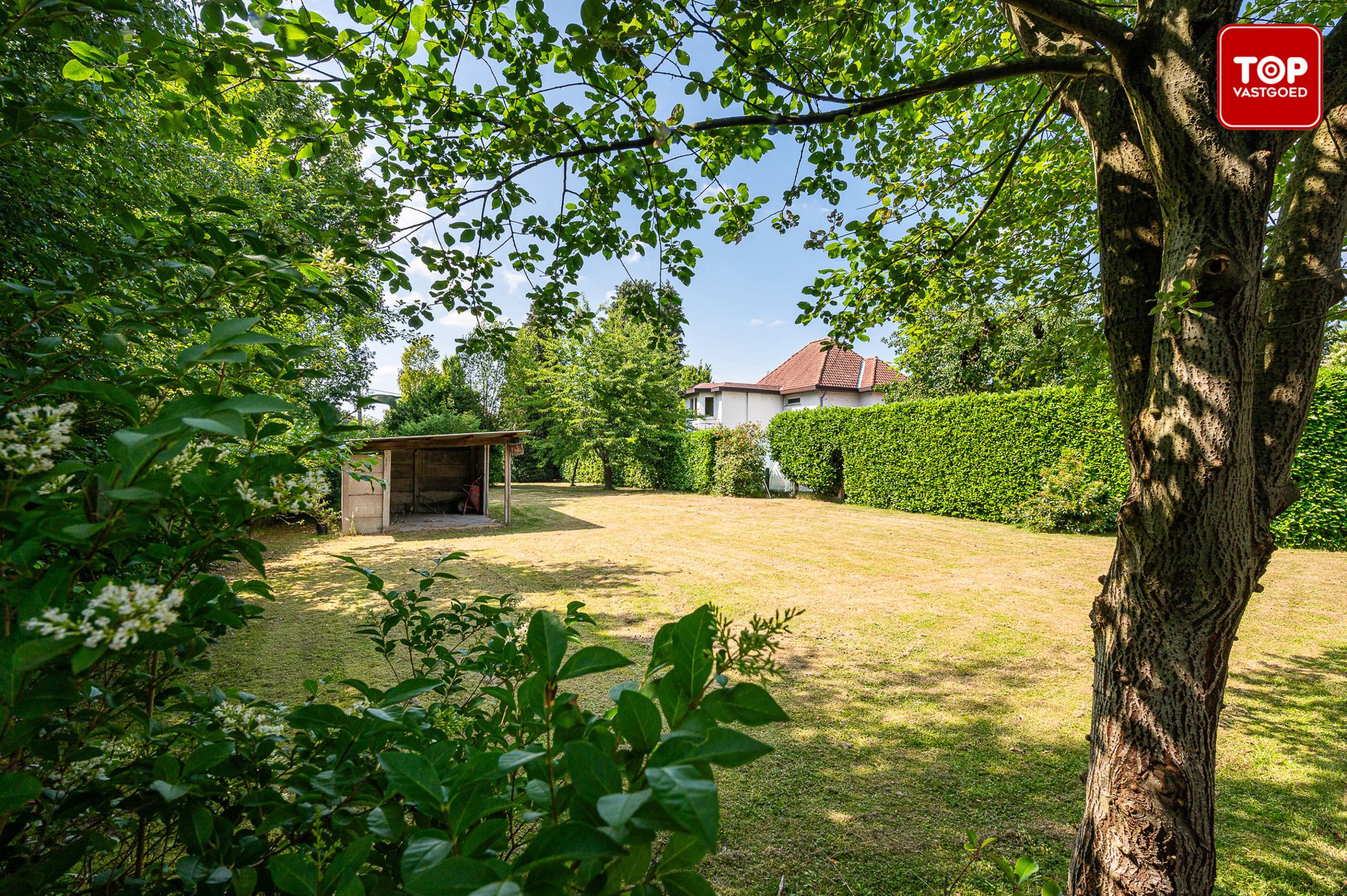 Ruime karaktervilla met magazijn op riant Perceel van 2200M² foto 4