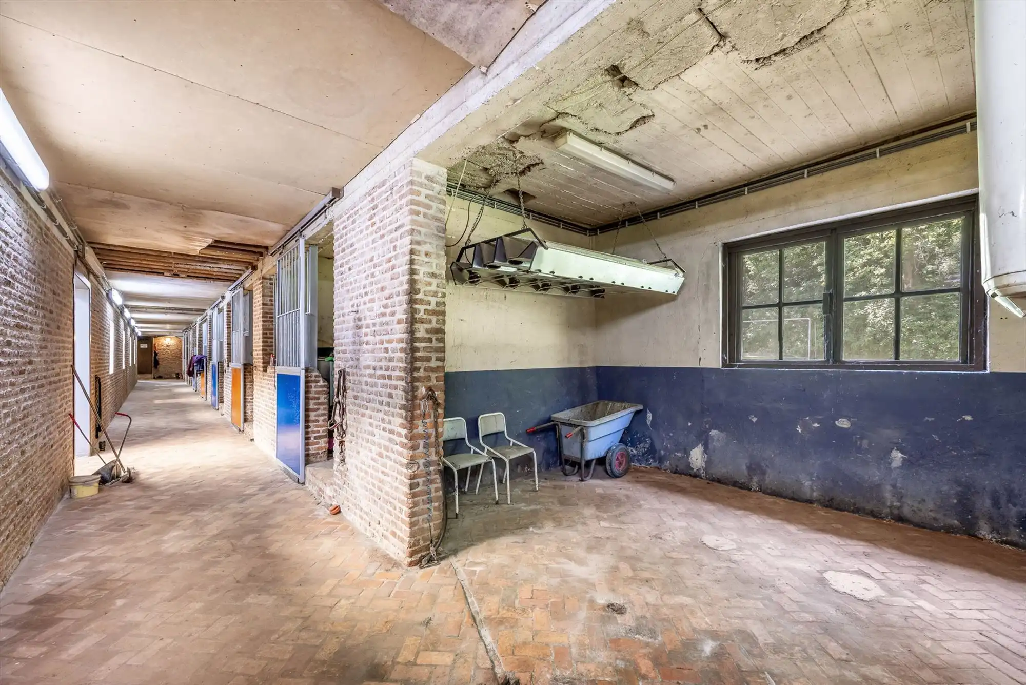 UNIEKE EIGENDOM MET 24 PAARDENSTALLEN EN BINNENPISTE OP CA 10 HECTARE TE PAAL-BERINGEN foto 9