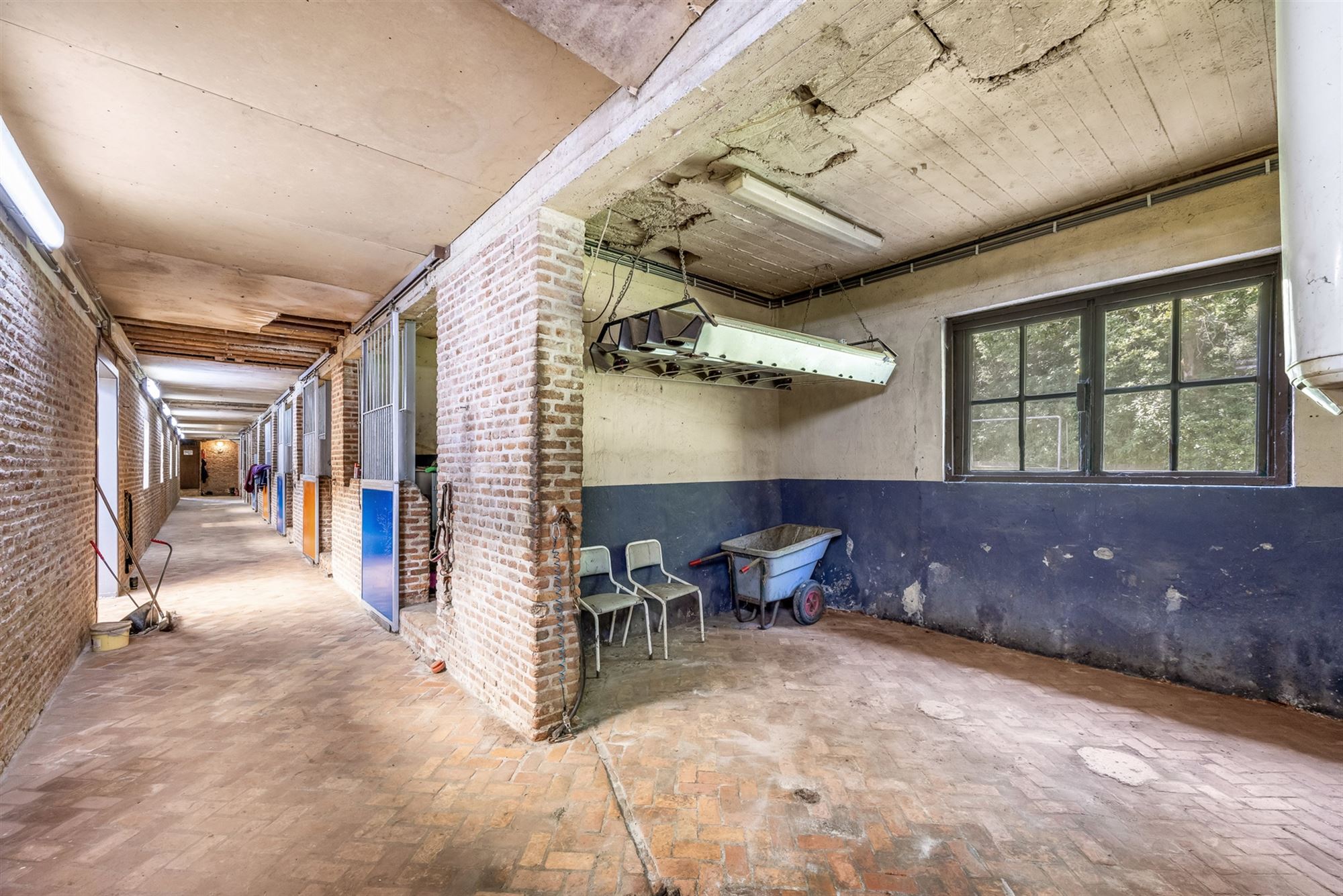 UNIEKE EIGENDOM MET 24 PAARDENSTALLEN EN BINNENPISTE OP CA 10 HECTARE TE PAAL-BERINGEN foto 9