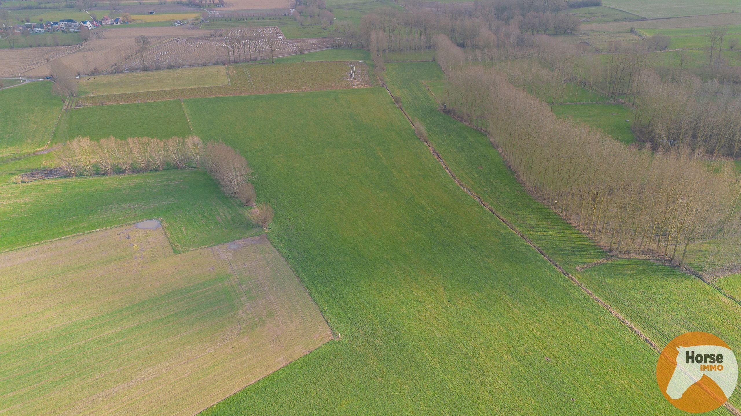 HILLEGEM – Landbouwgronden te koop foto 6