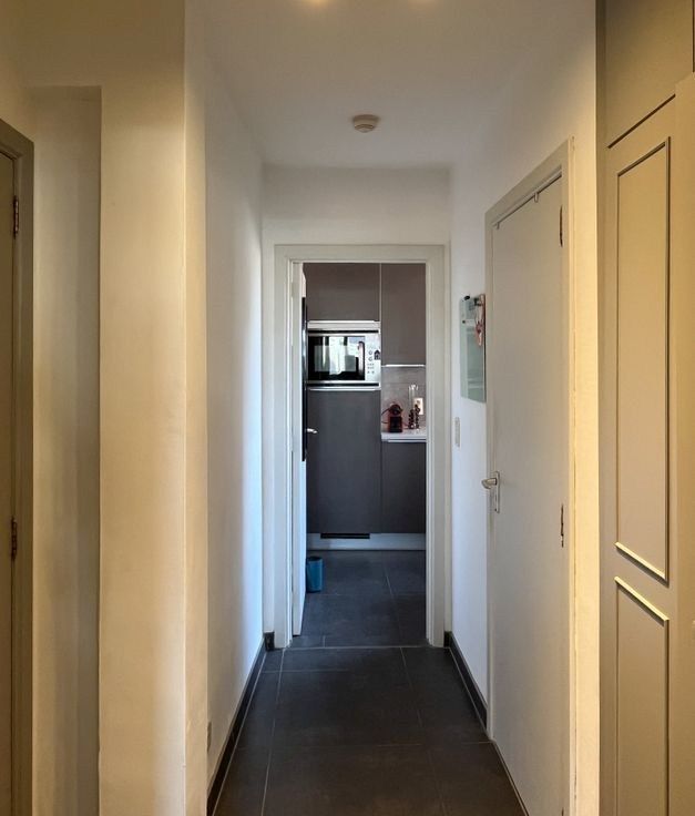 Gerenoveerd instap klaar bemeubeld 1 slaapkamer appartement in Leuven centrum foto 6