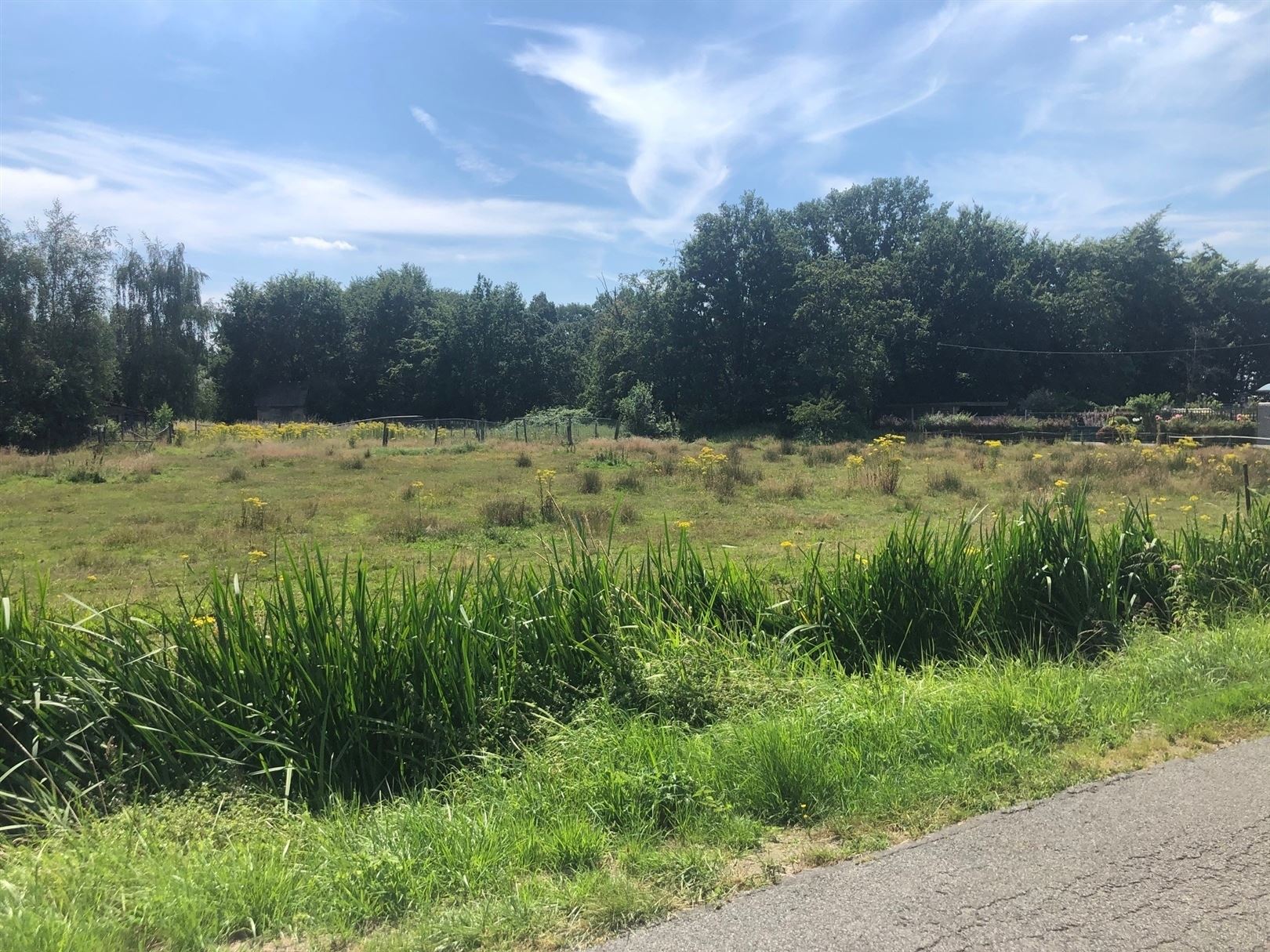 Half open bouwgrond aan het natuurgebied FORT VAN MERKSEM. foto 5