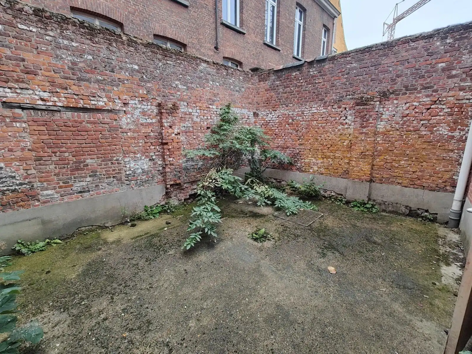 Commercieel pand te huur in hét winkelhart van Sint-Niklaas foto 18