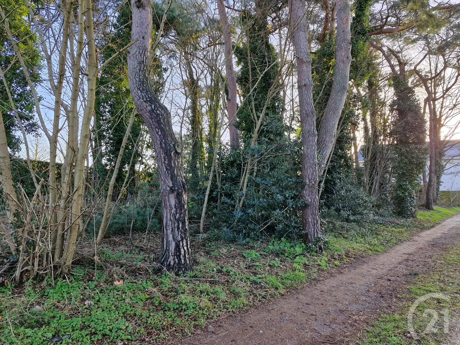 Bouwgrond te koop in Tremelo! foto 2