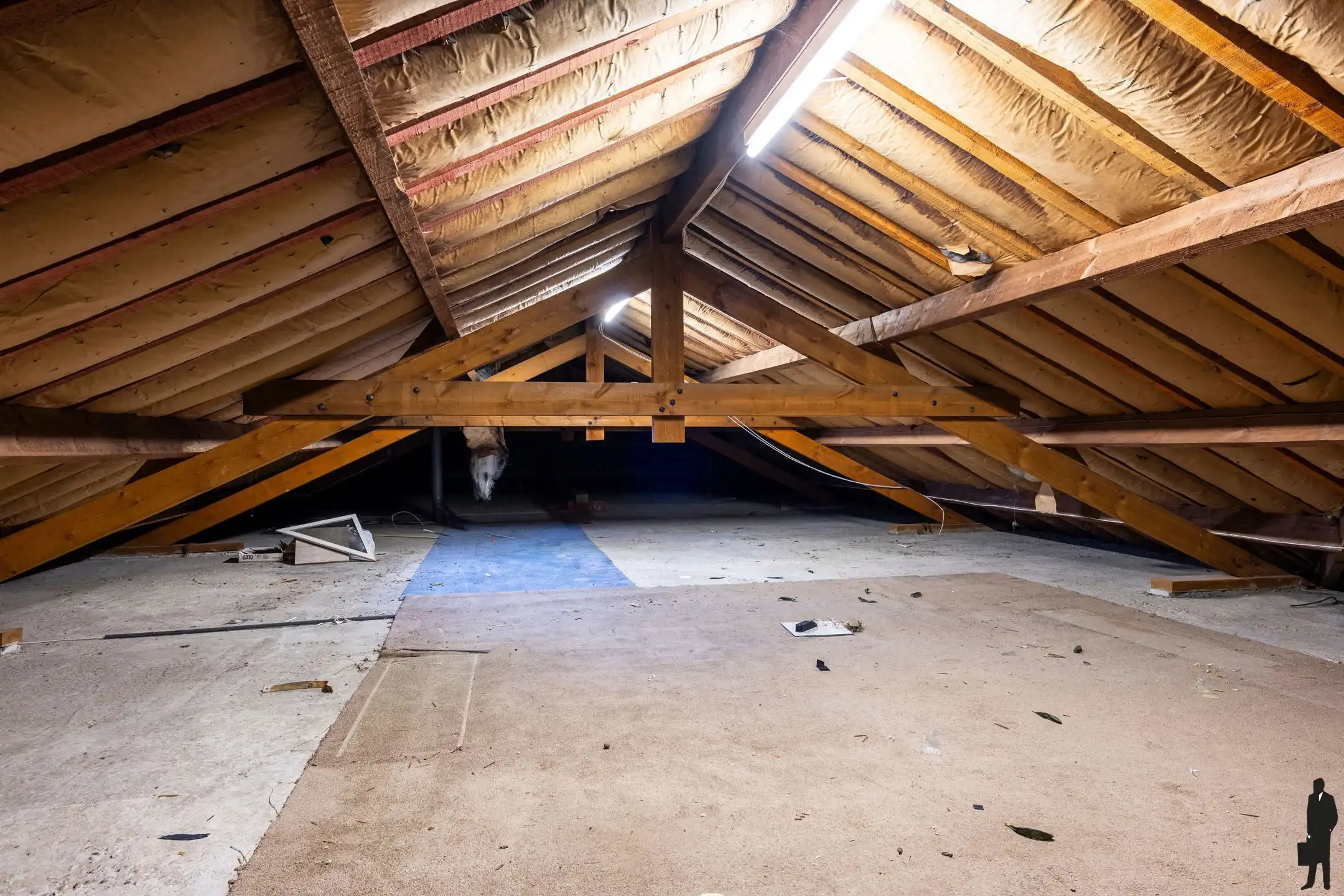 Gelijkvloerse woning met renovatiepotentieel op ca. 1.720 m² foto 16