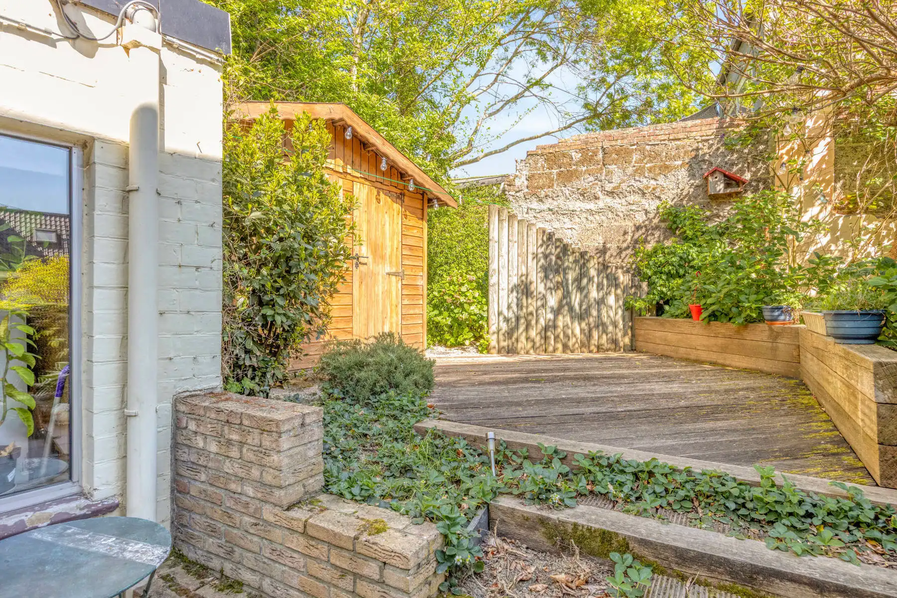 Charmante HOB met 3 slaapkamers in Grimbergen foto 9