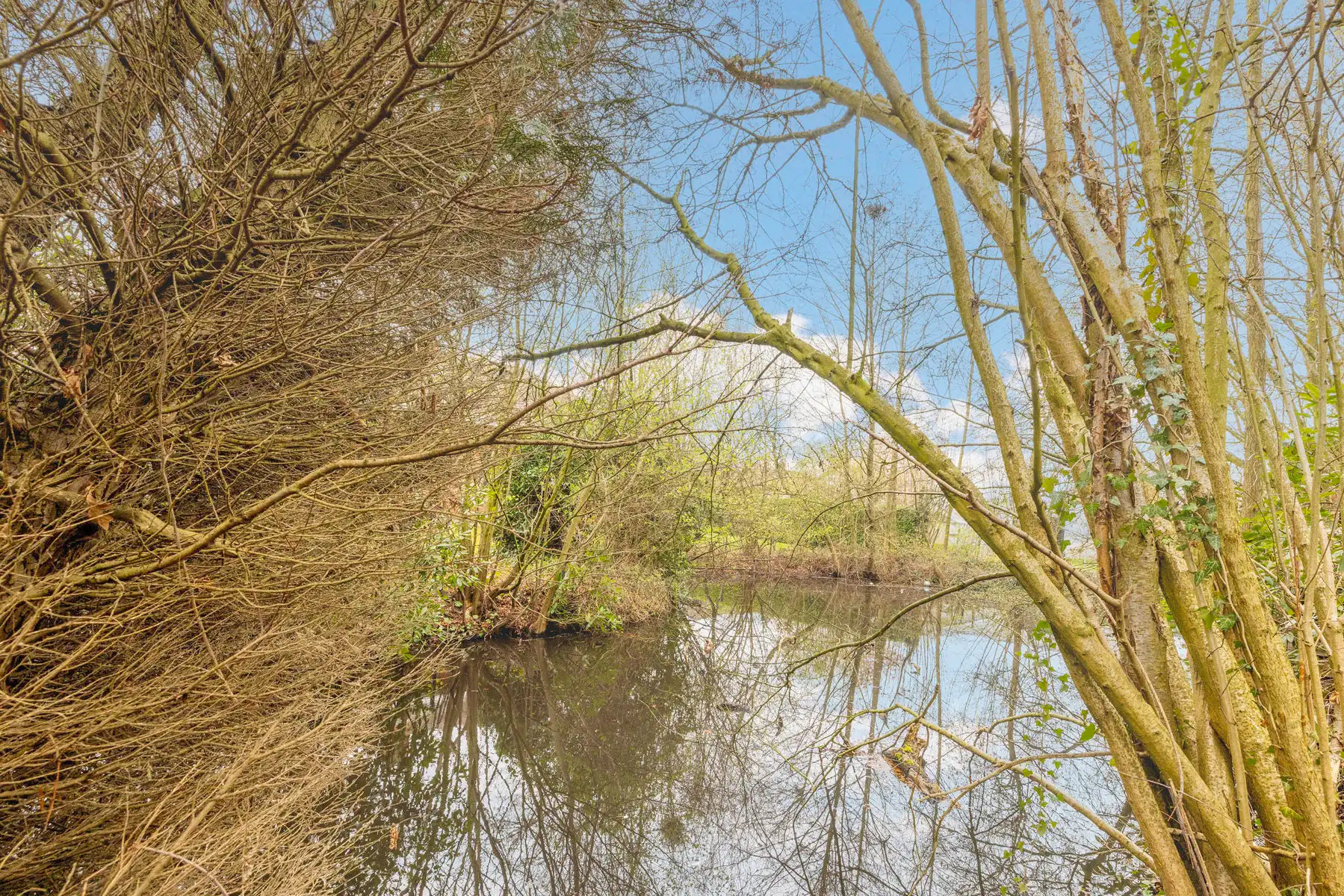 Rustig gelegen te renoveren woning met 2 slp op mooi perceel foto 18