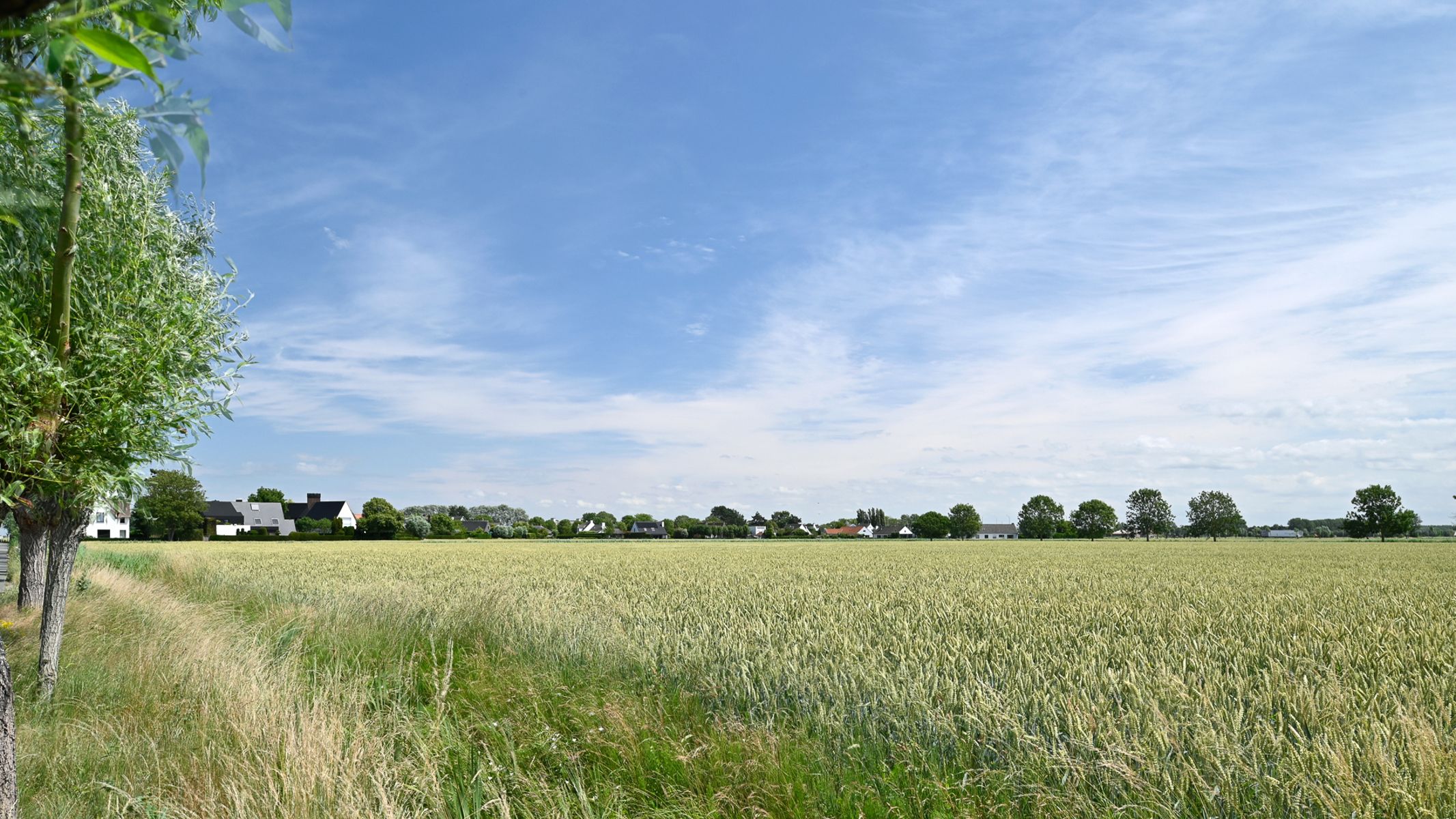 EXCLUSIEF: Prachtige woning gelegen in woonerf Middelhoek foto 3