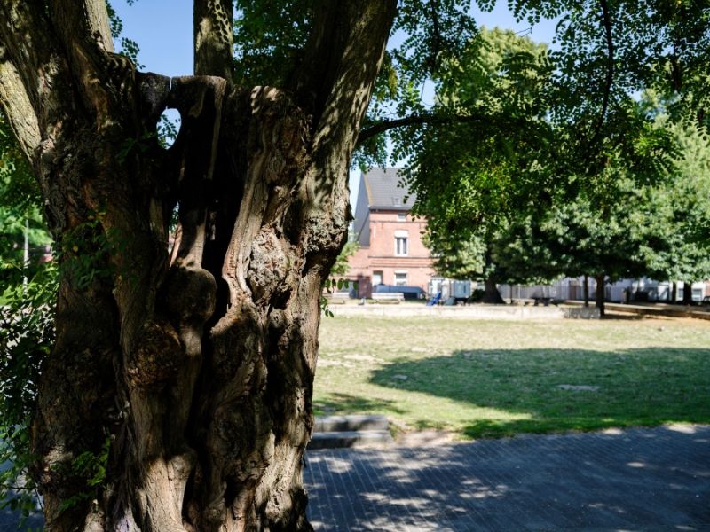 Gezellige stadswoning in historisch autovrij woonerf nabij Begijnhof foto 16