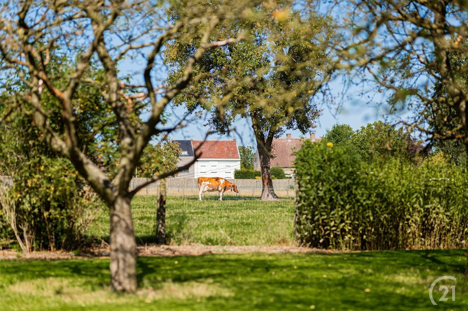 Dubbele gezinswoning of woning met praktijkruimte op 43are90 foto 7