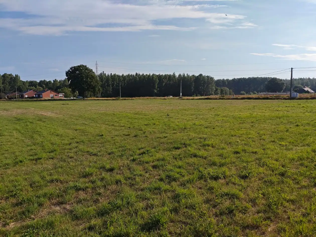 Vrije blok landbouwgrond gelegen aan de Bergestraat Holsbeek foto 3