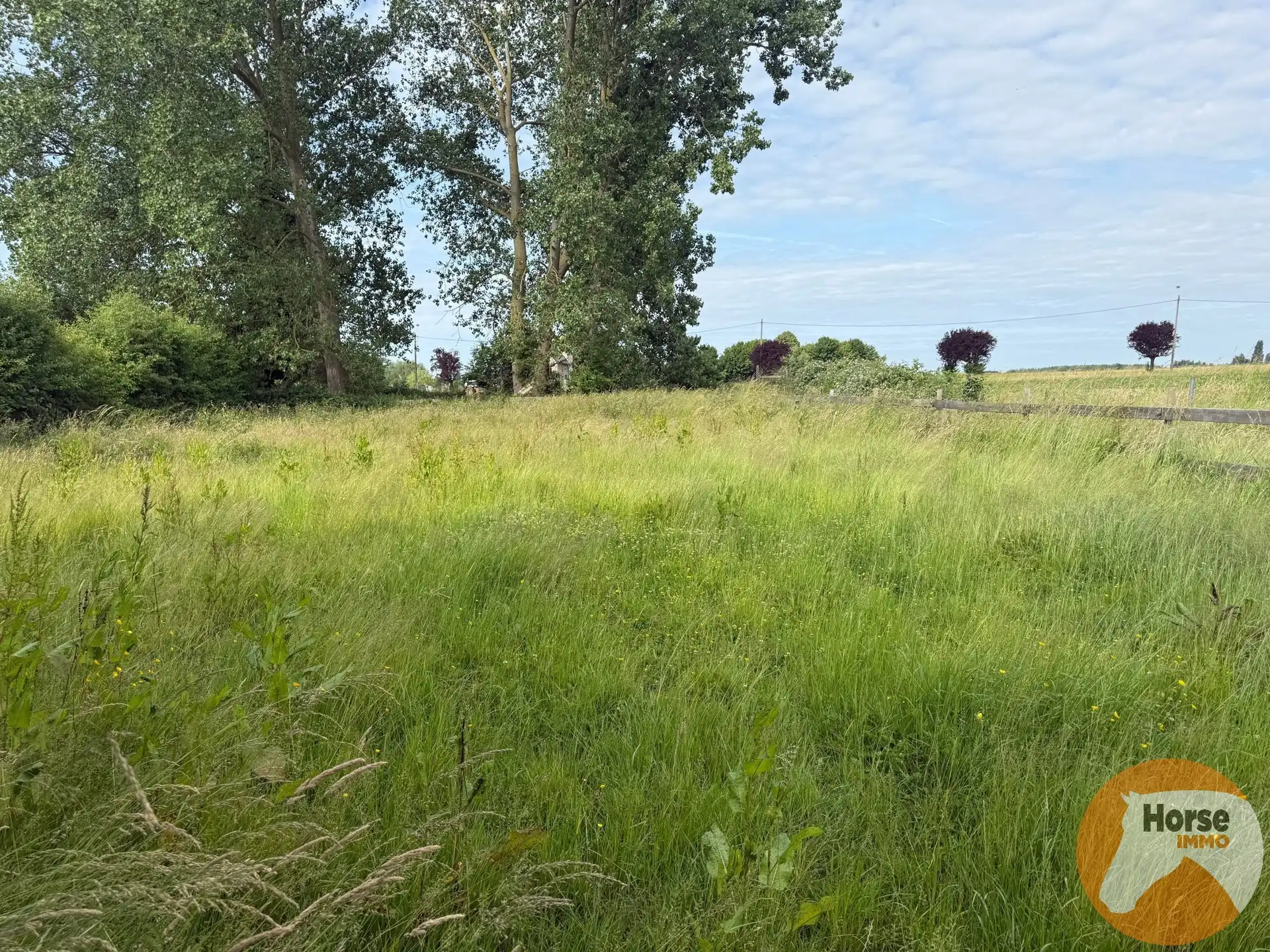 HUMBEEK - Droomplek voor paarden met weide, stallen en piste foto {{pictureIndex}}
