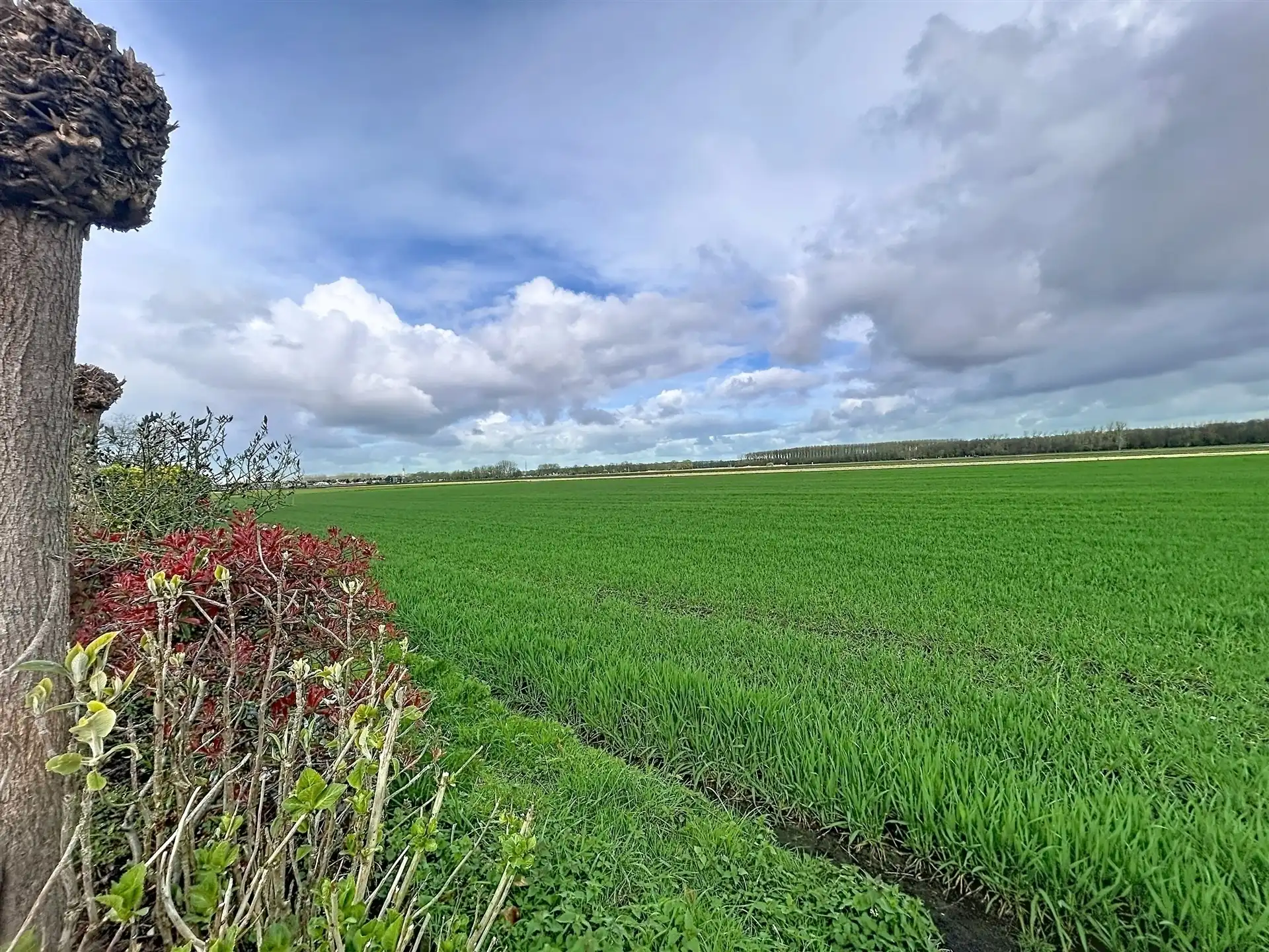 Open bebouwing op perceel van 739 m² foto 20